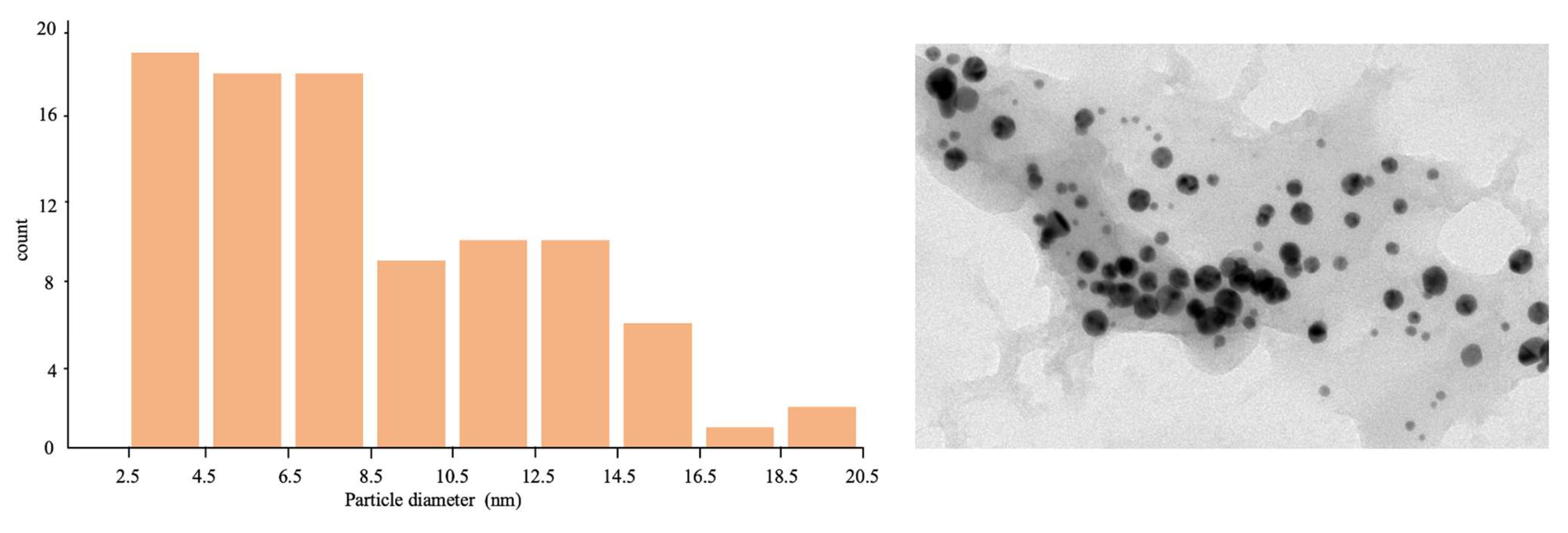 Molecules 29 00168 g003