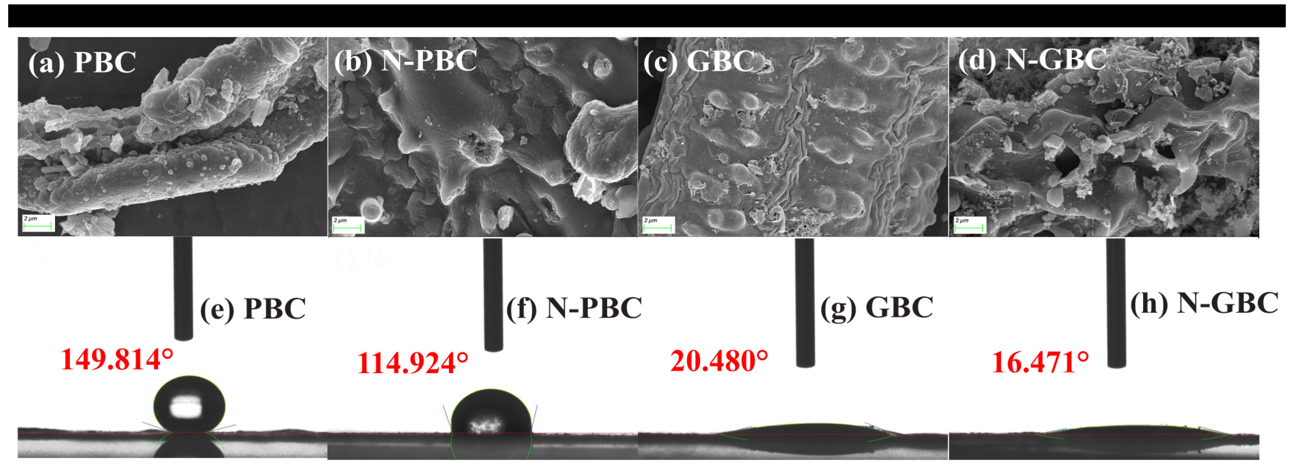 Molecules 29 00173 g001 Molecules 29 00173 g001