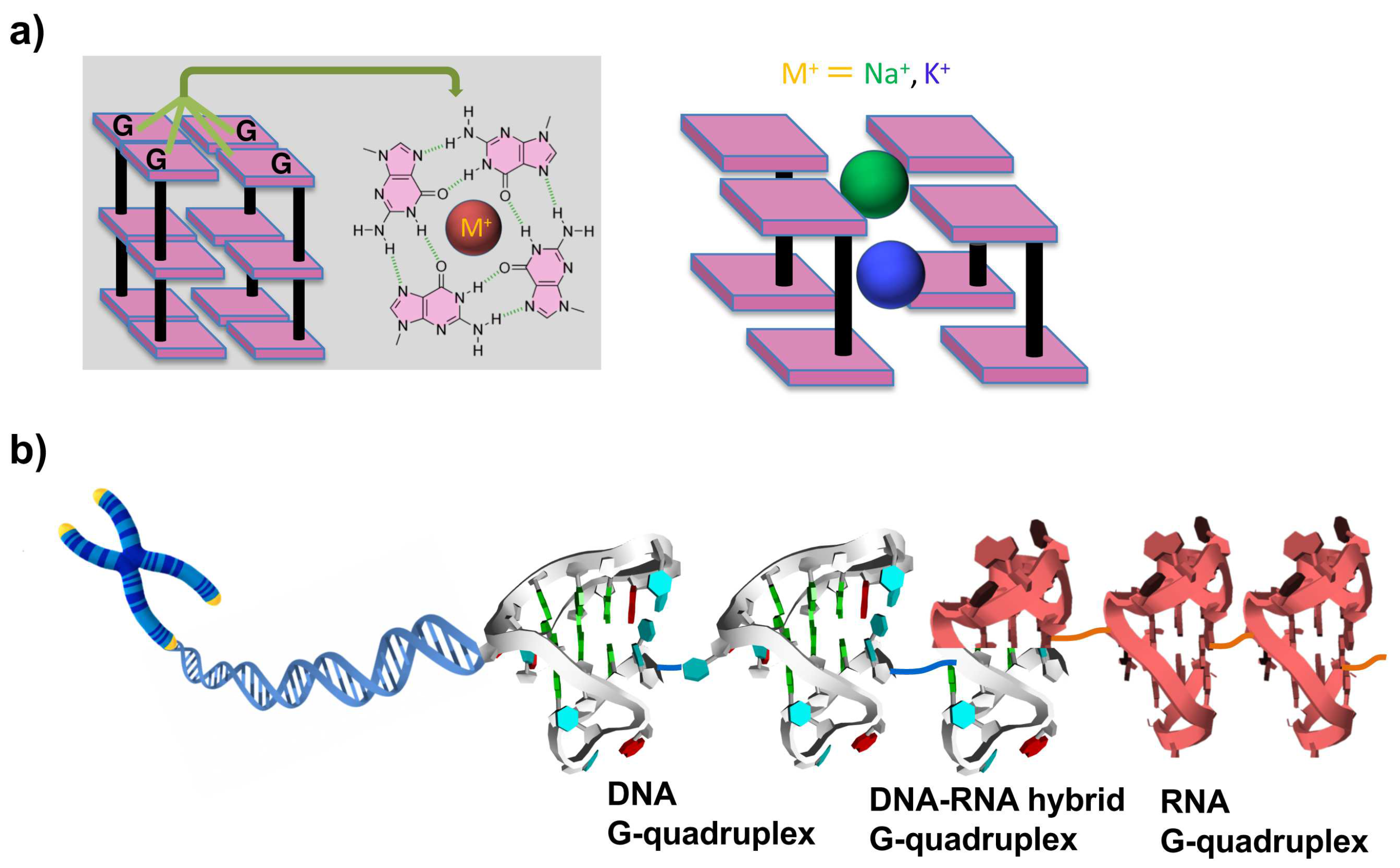 Molecules 29 00174 g001