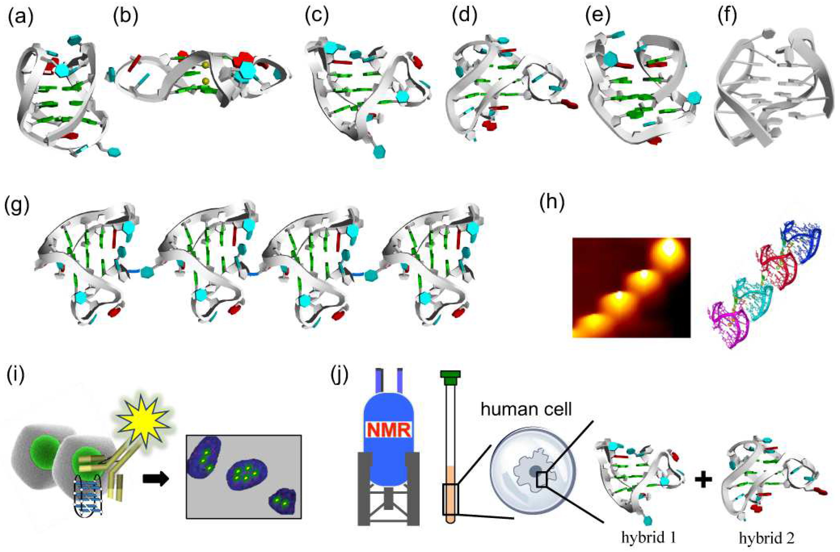 Molecules 29 00174 g002