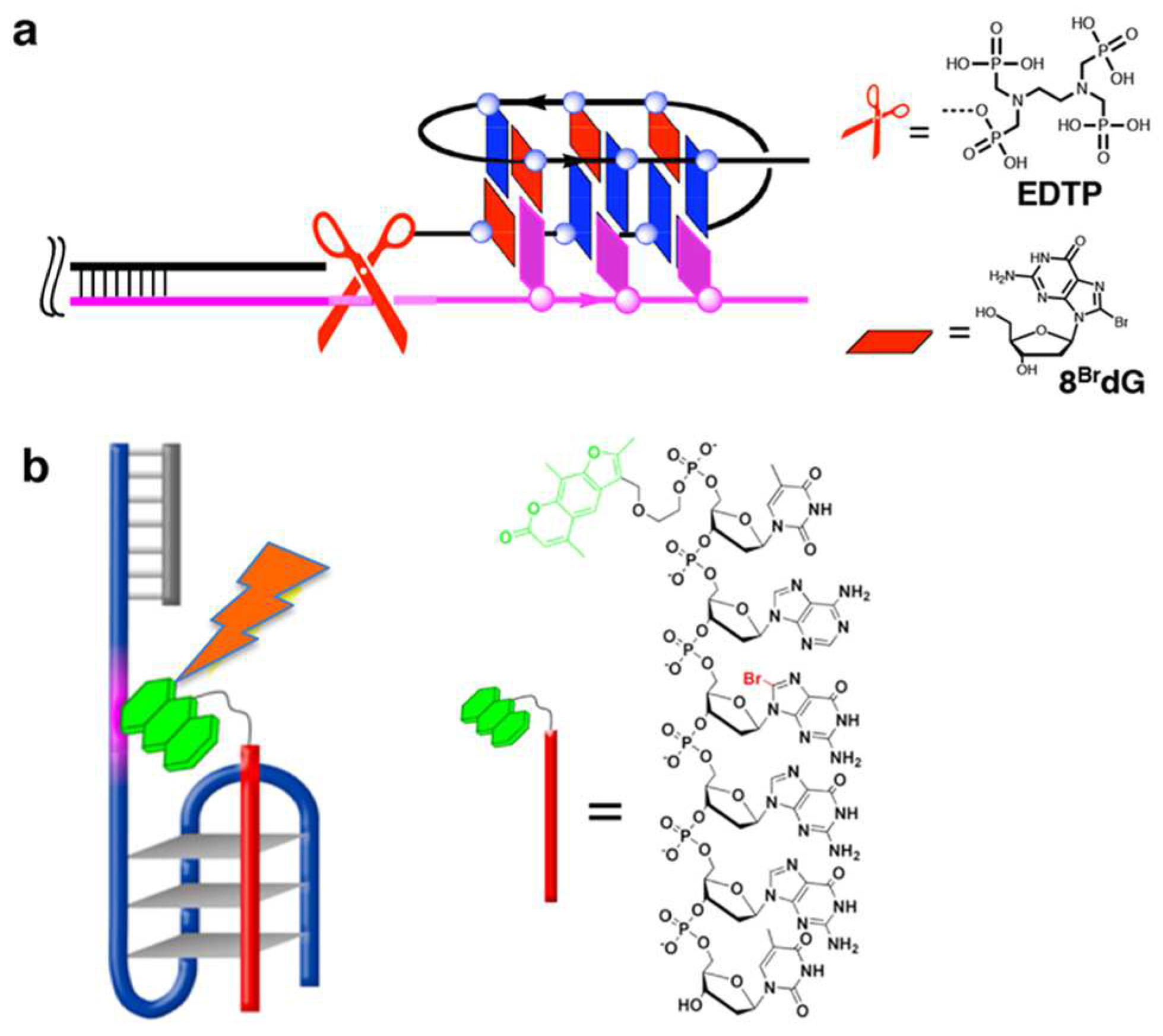 Molecules 29 00174 g008