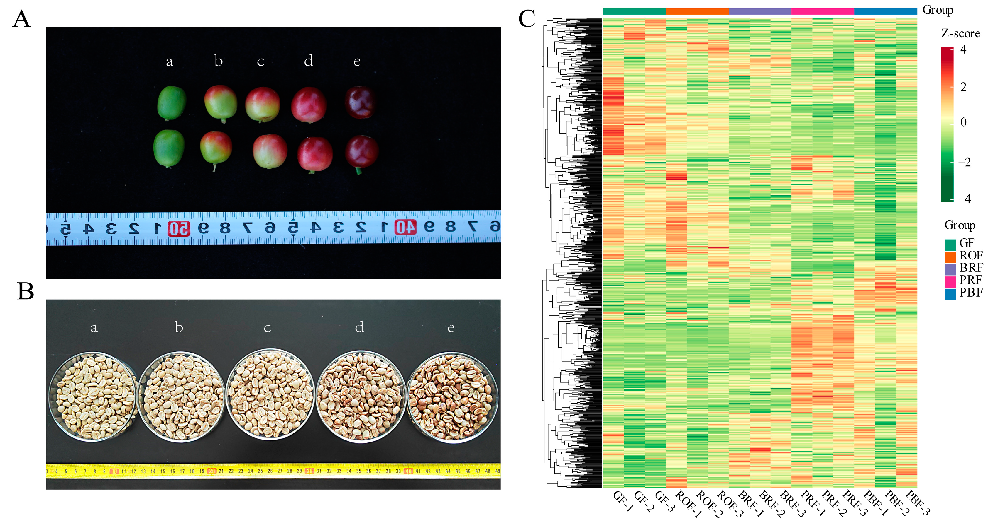 Molecules 29 00180 g001
