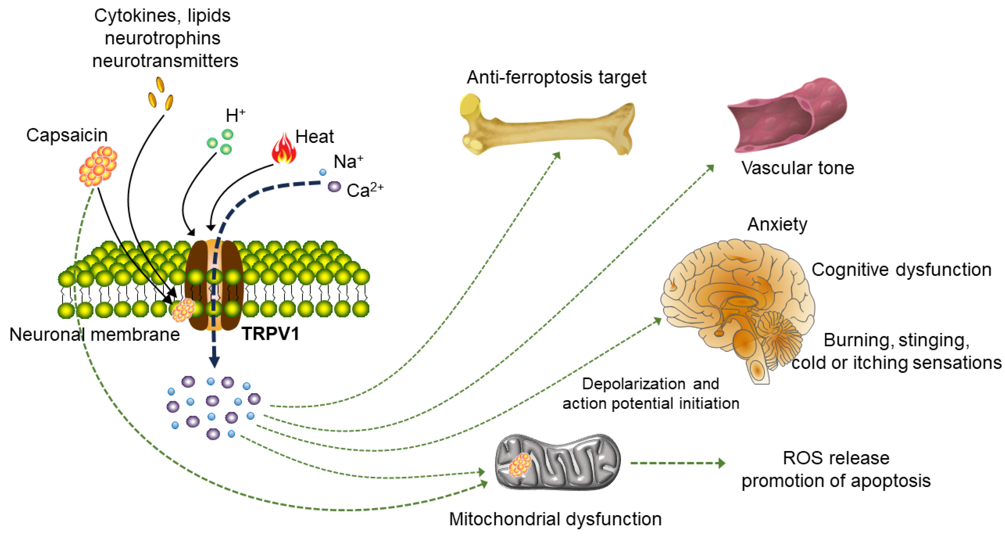 Molecules 29 00181 g002
