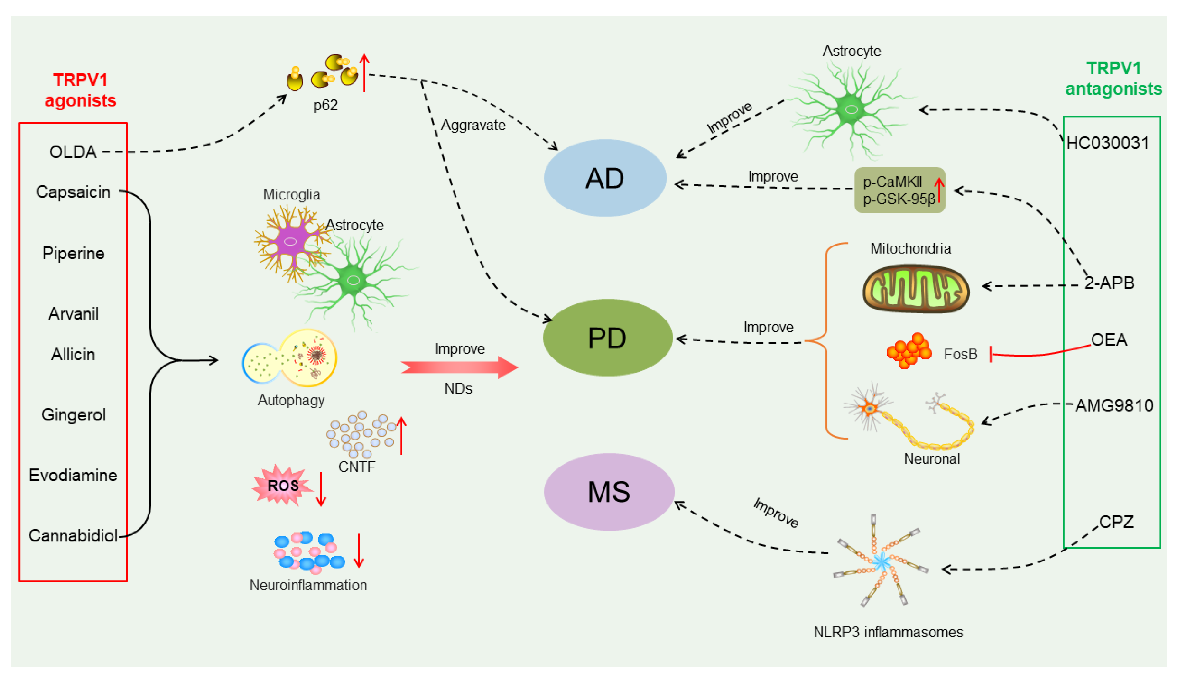 Molecules 29 00181 g003