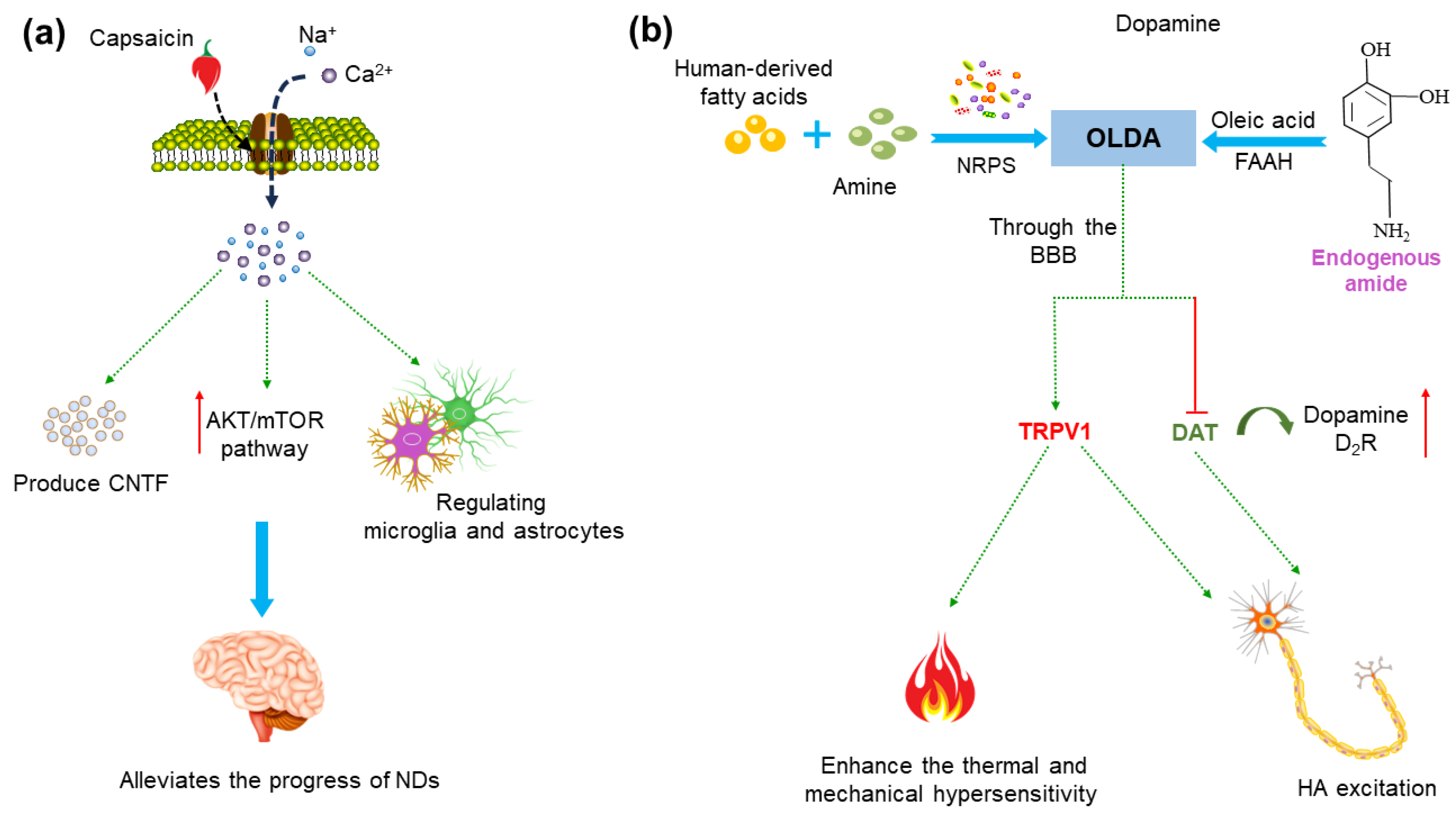 Molecules 29 00181 g004