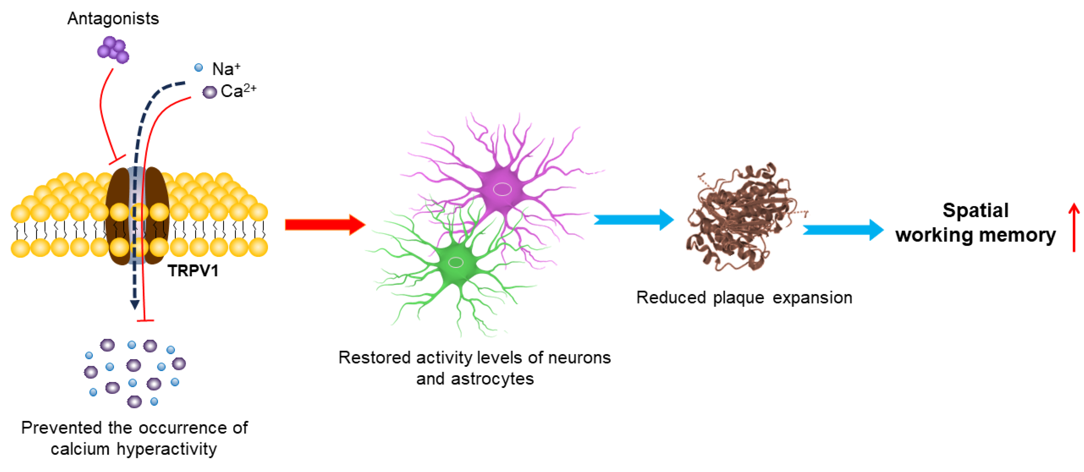 Molecules 29 00181 g005