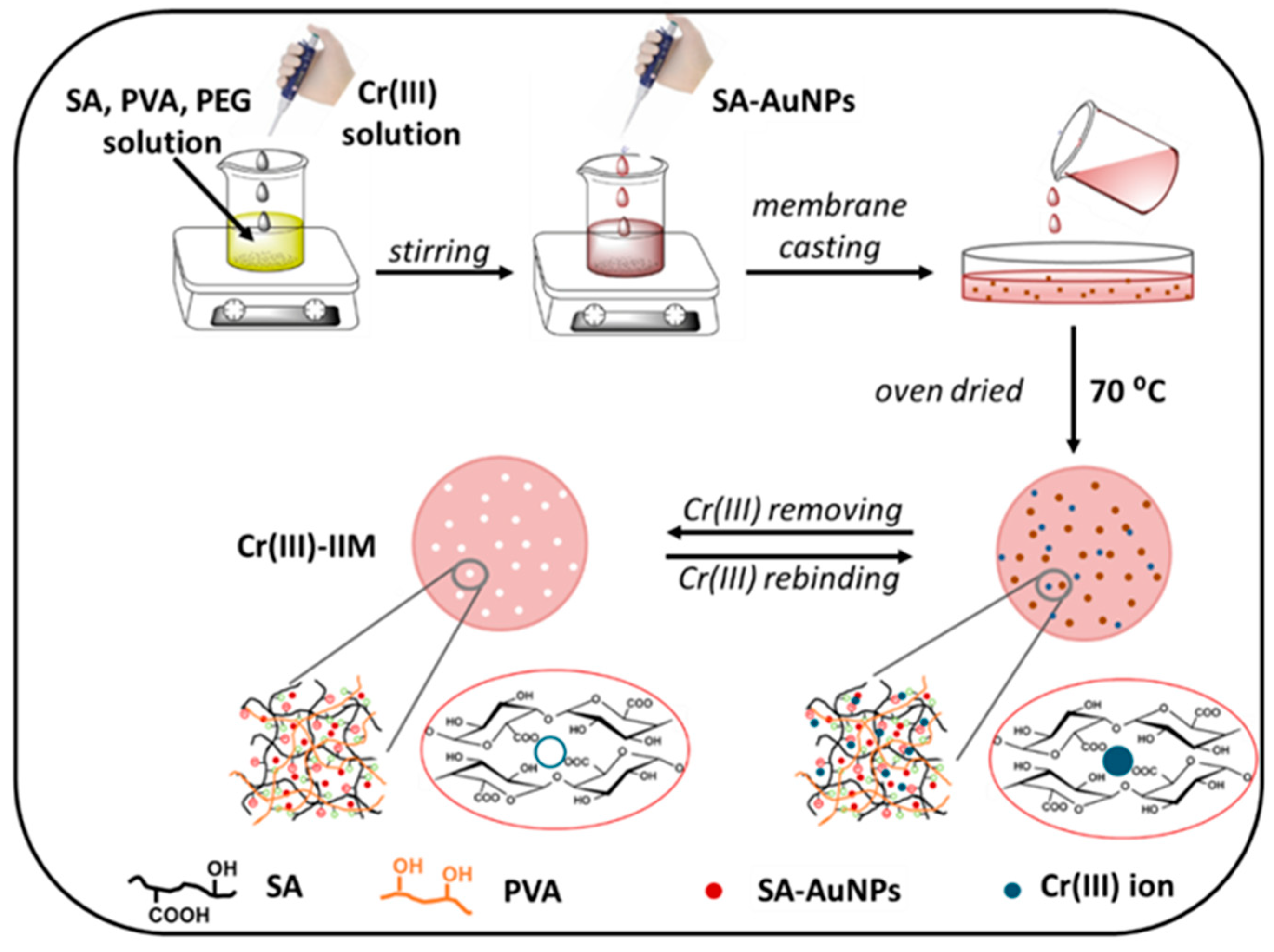Molecules 29 00187 g004 Molecules 29 00187 g004