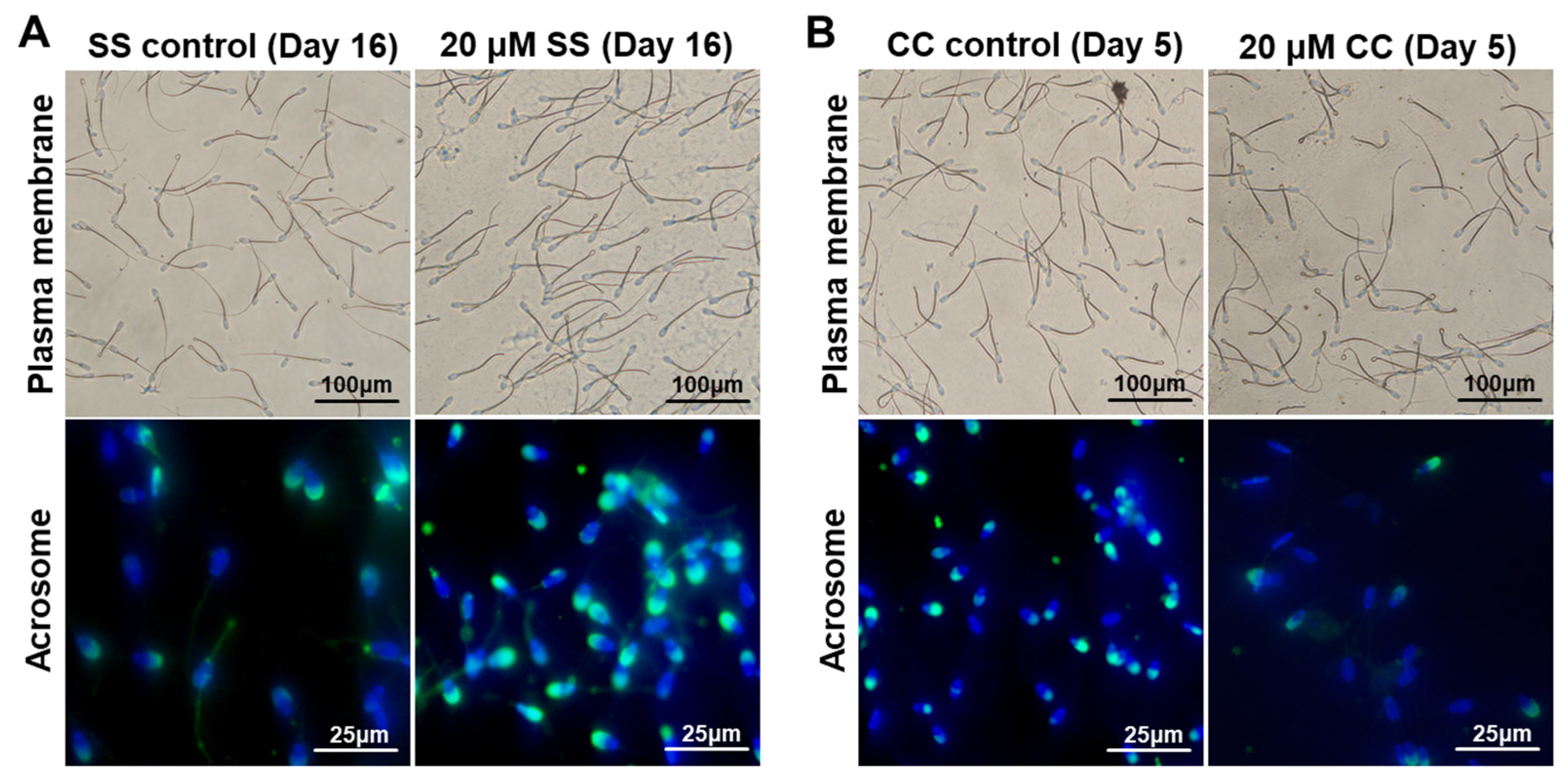 Molecules 29 00188 g001