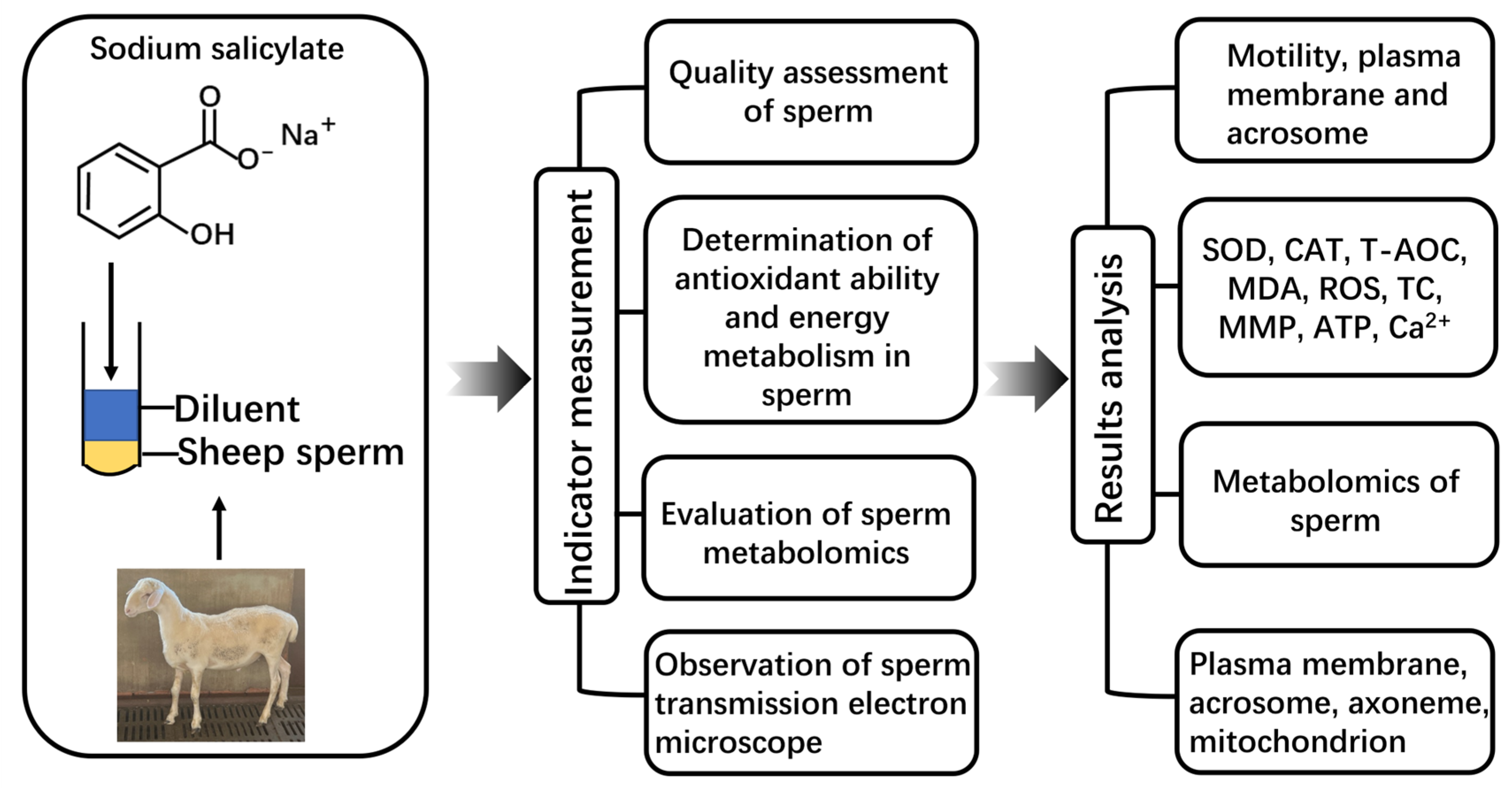 Molecules 29 00188 g008