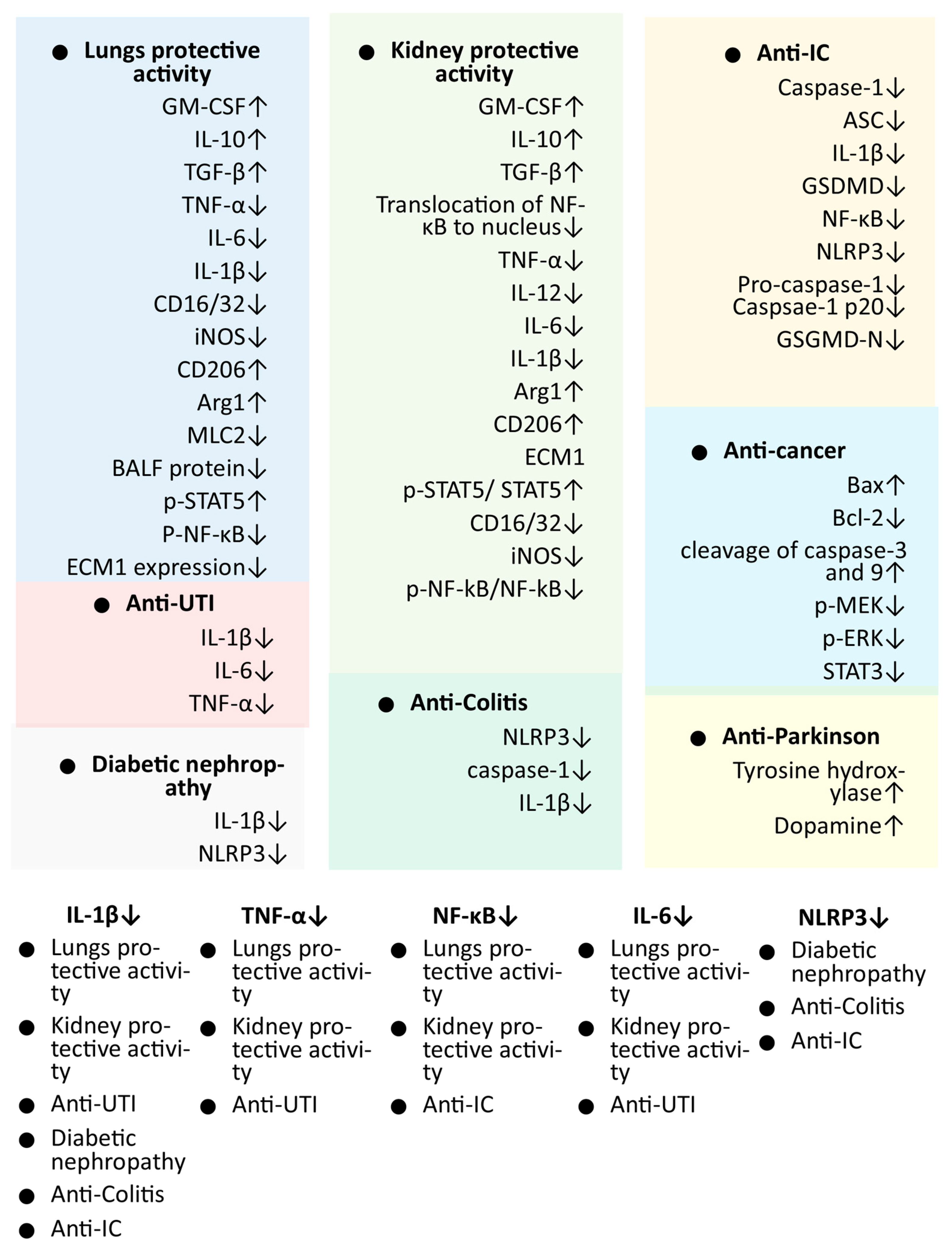 Molecules 29 00189 g002