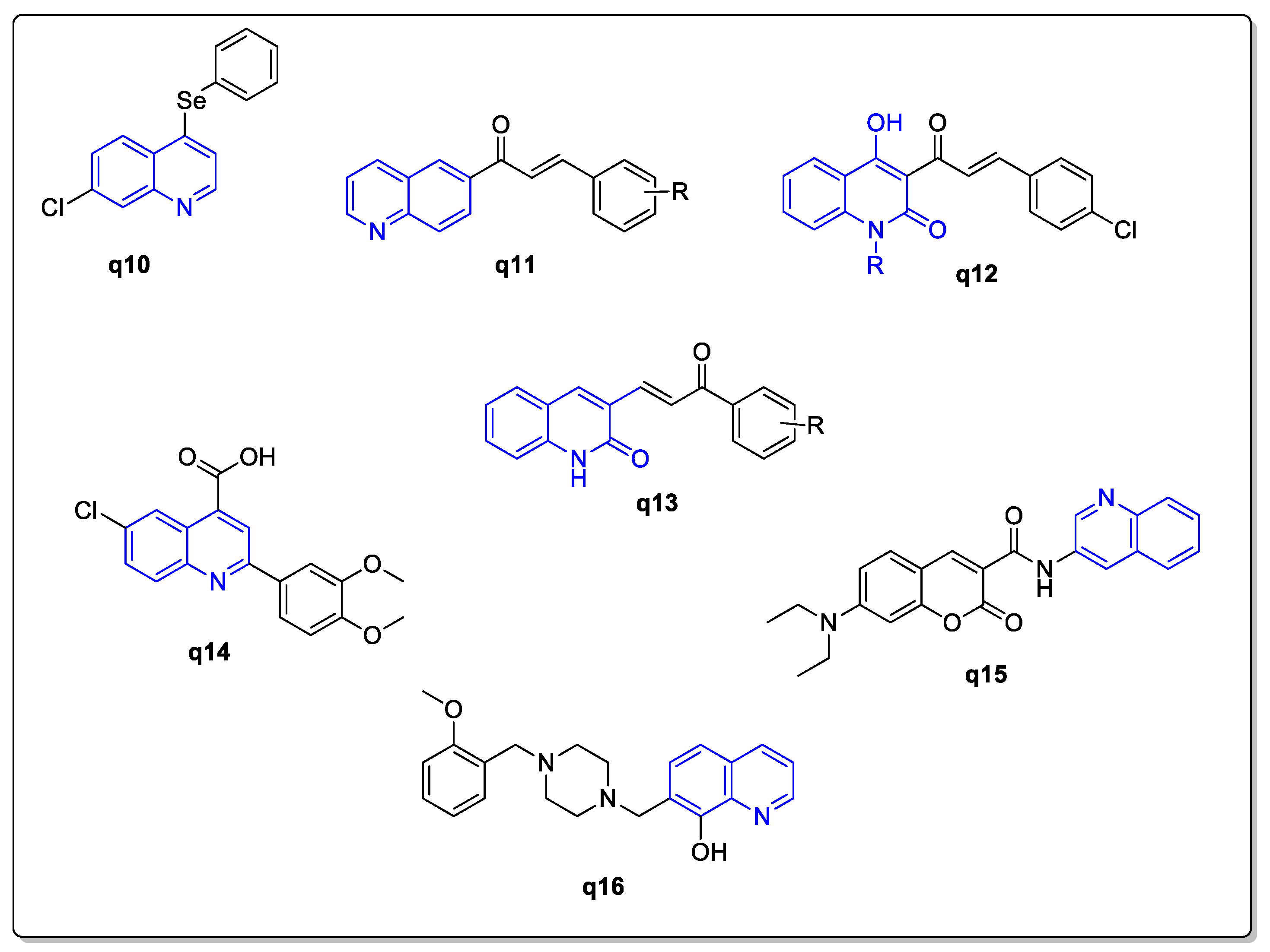 Molecules 29 00190 g004