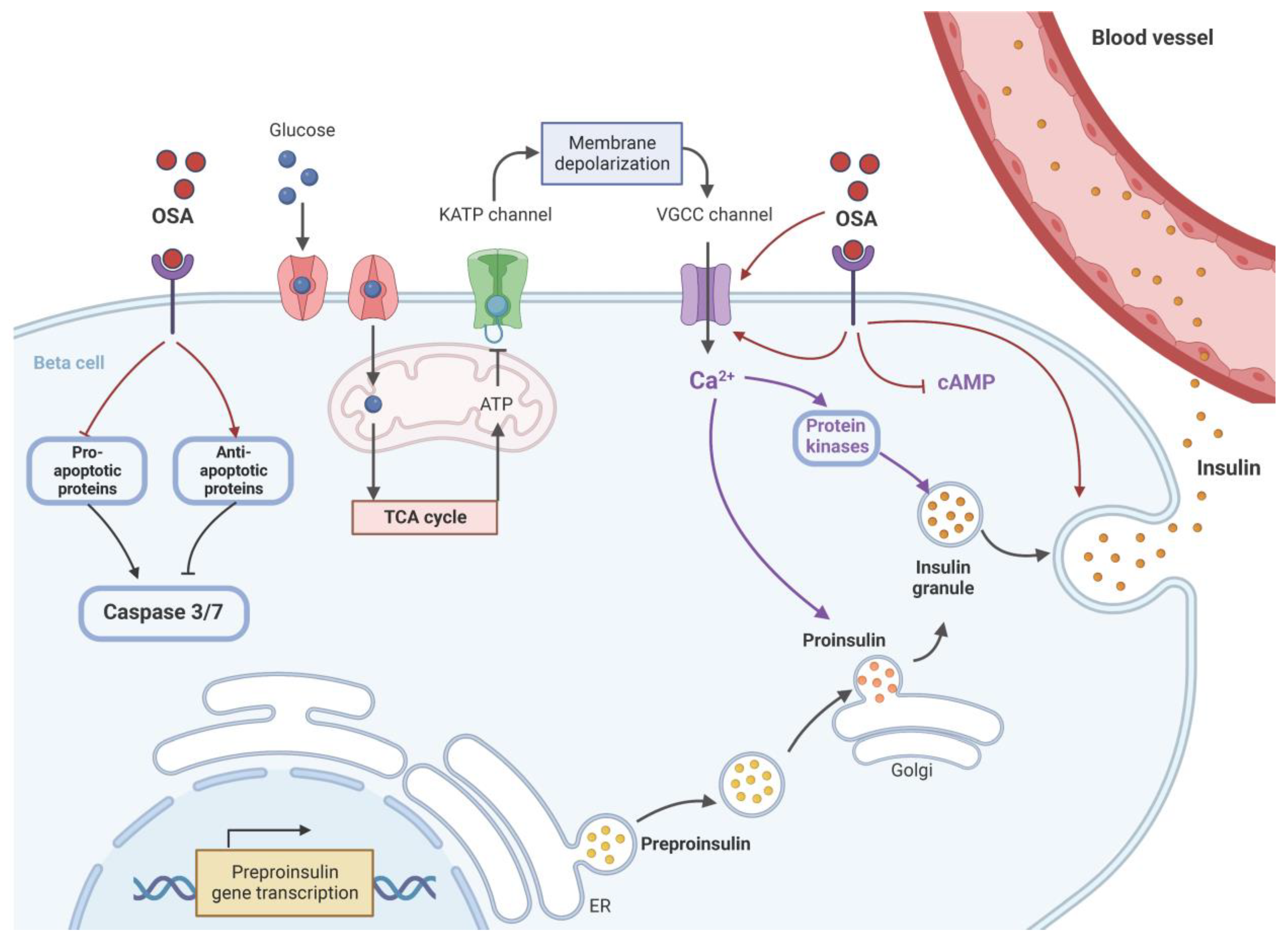 Molecules 29 00194 g002