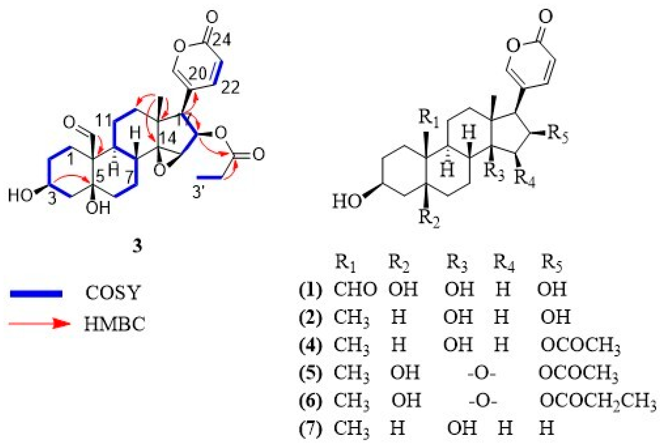 Molecules 29 00196 g001