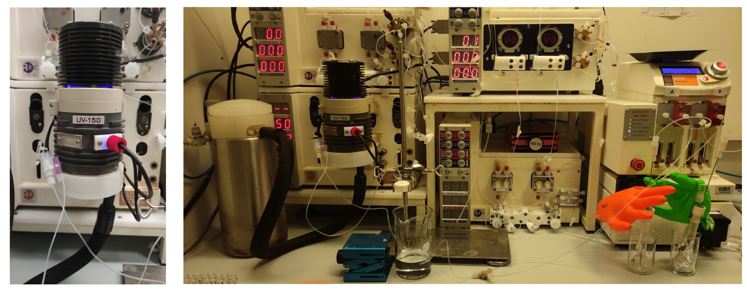 Molecules 29 00201 g010