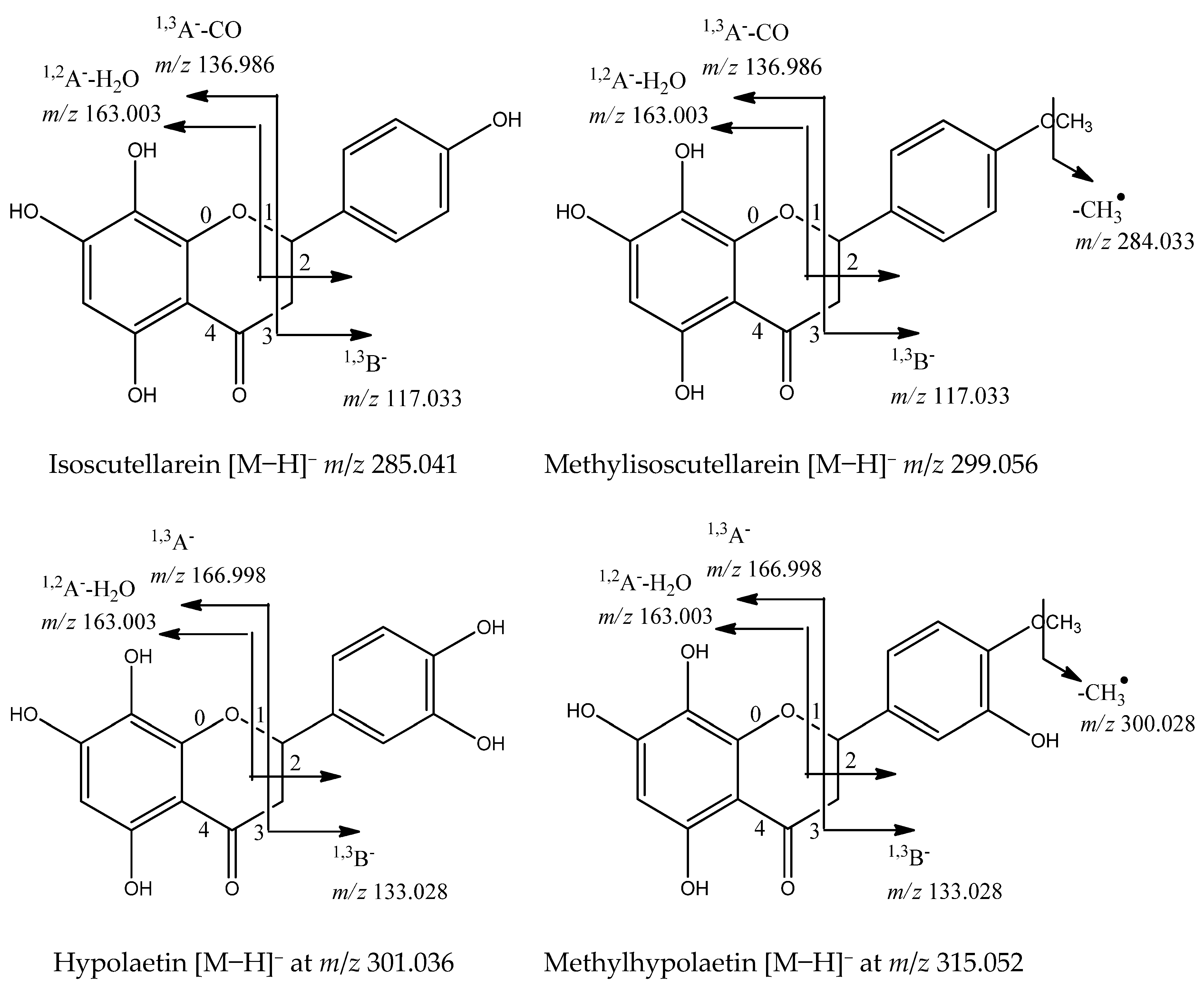 Molecules 29 00204 g005