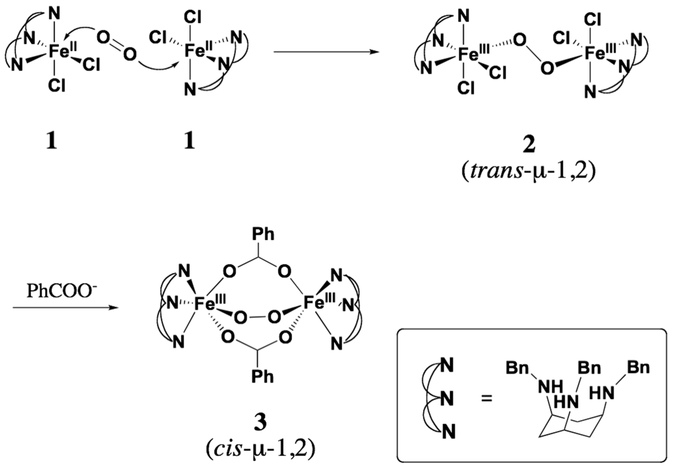 Molecules 29 00205 sch001