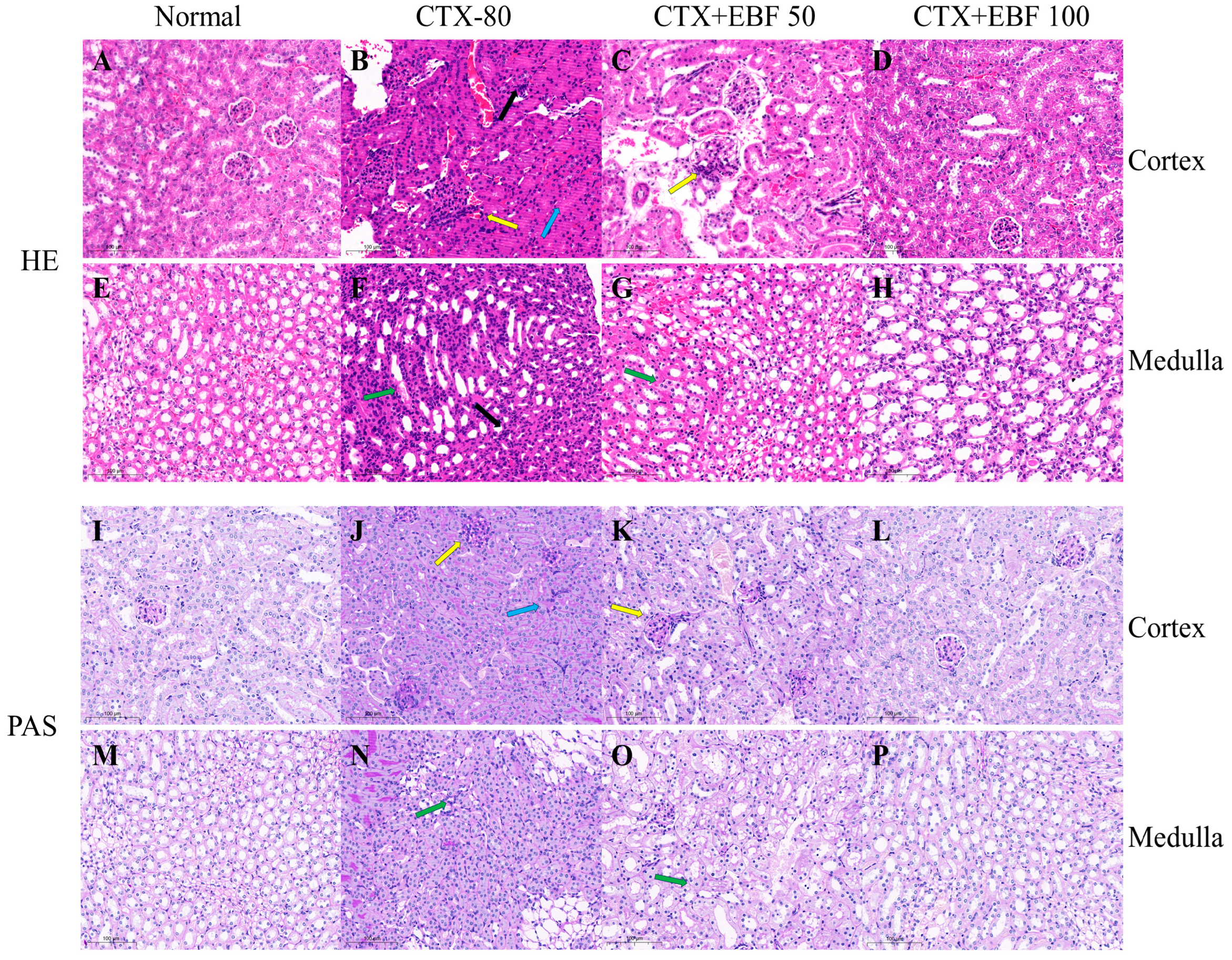 Molecules 29 00207 g005
