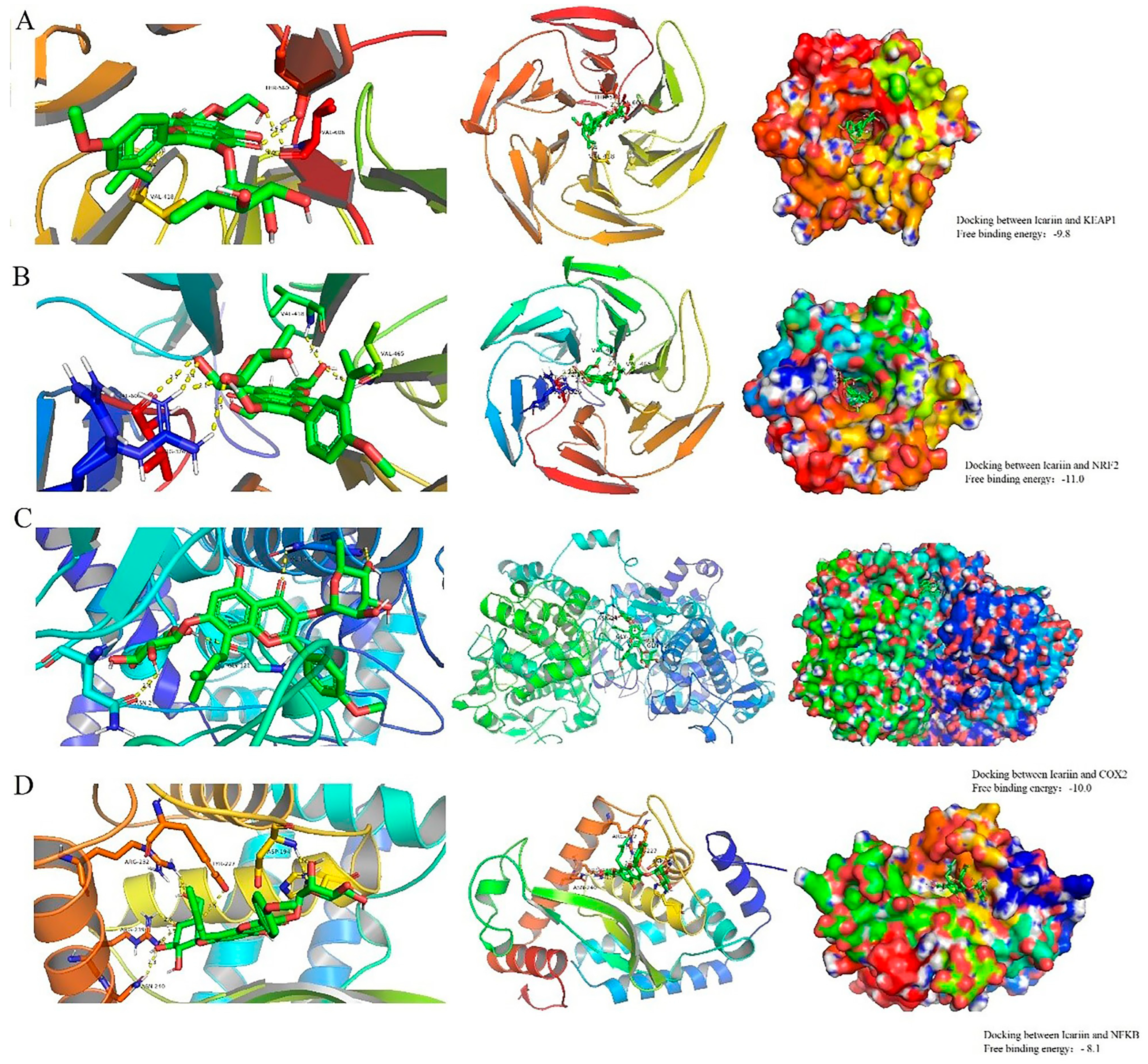 Molecules 29 00207 g006