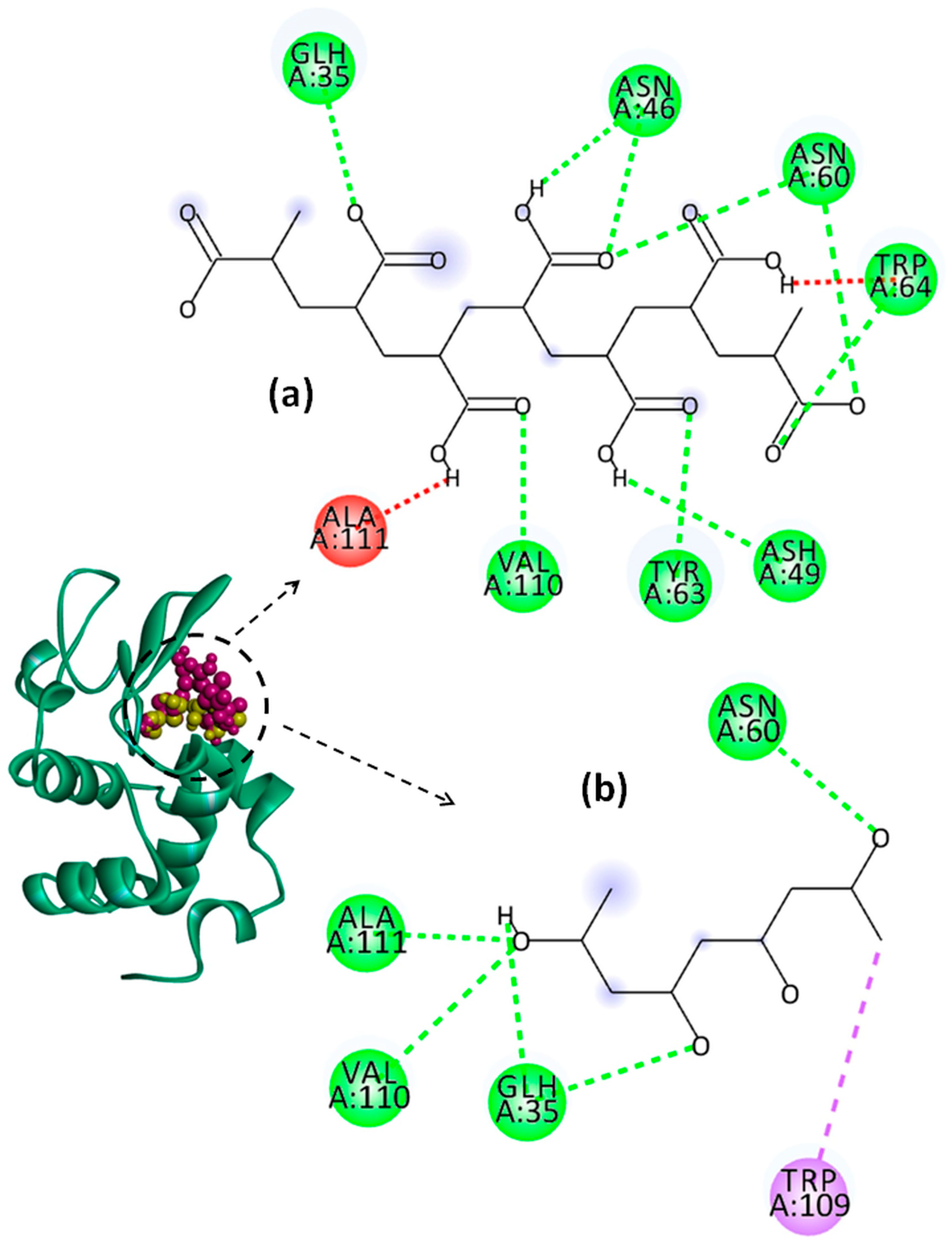 Molecules 29 00208 g010