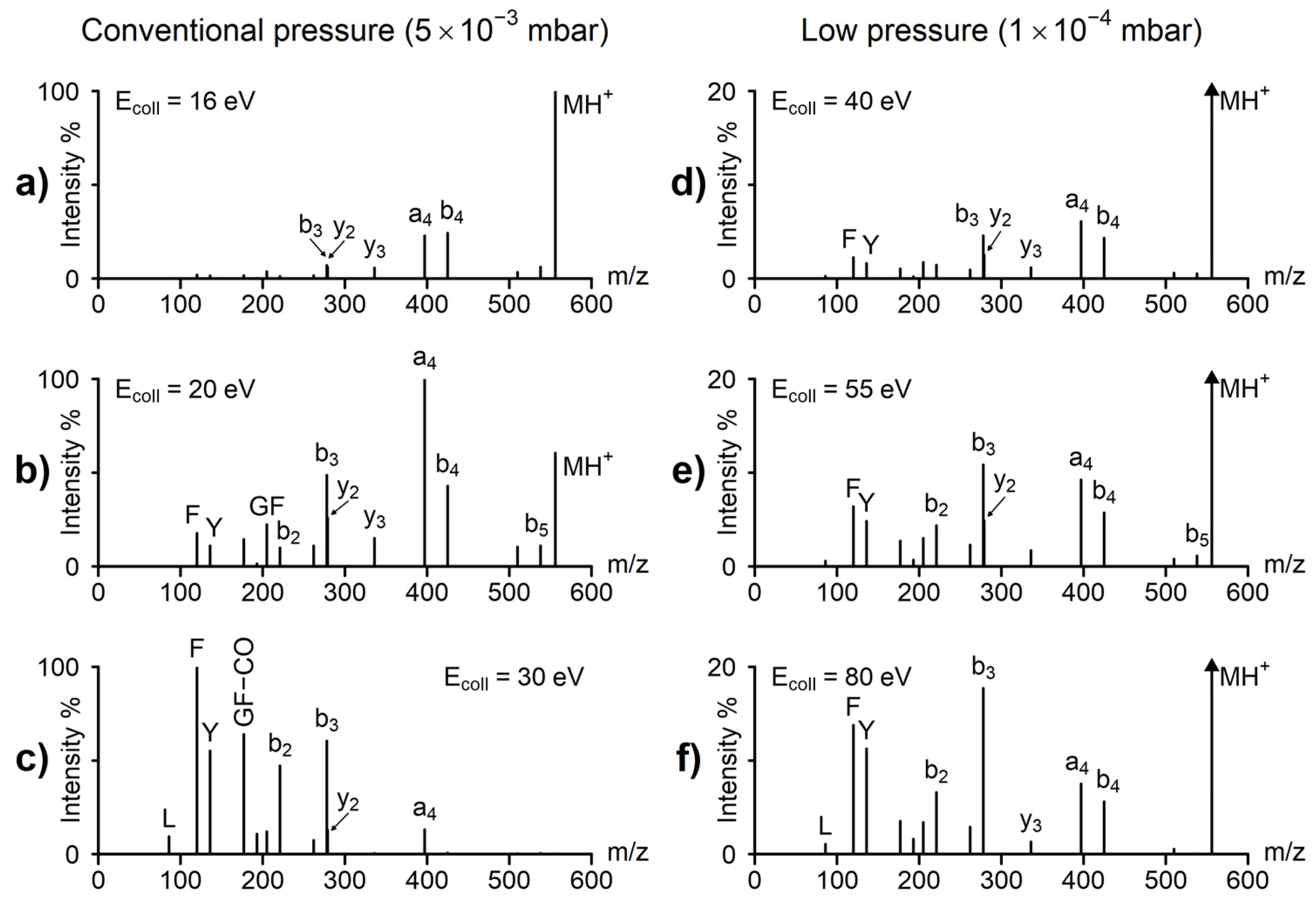 Molecules 29 00211 g003