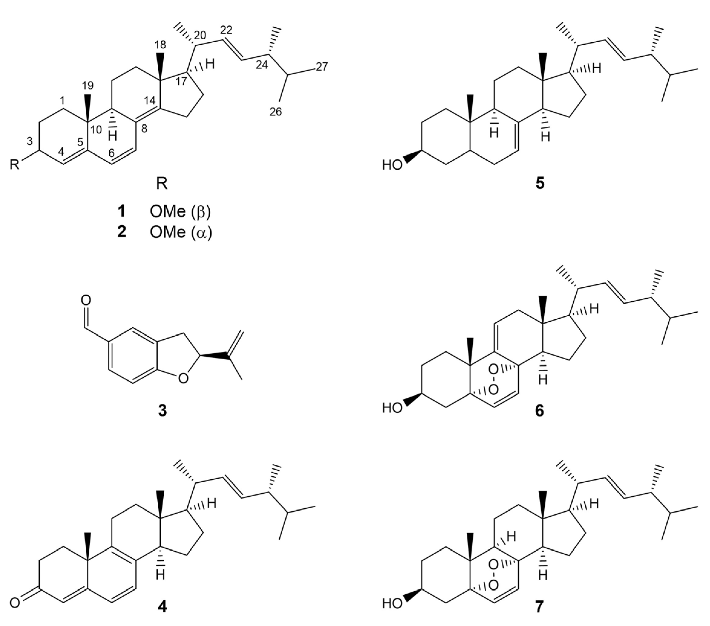Molecules 29 00213 g001