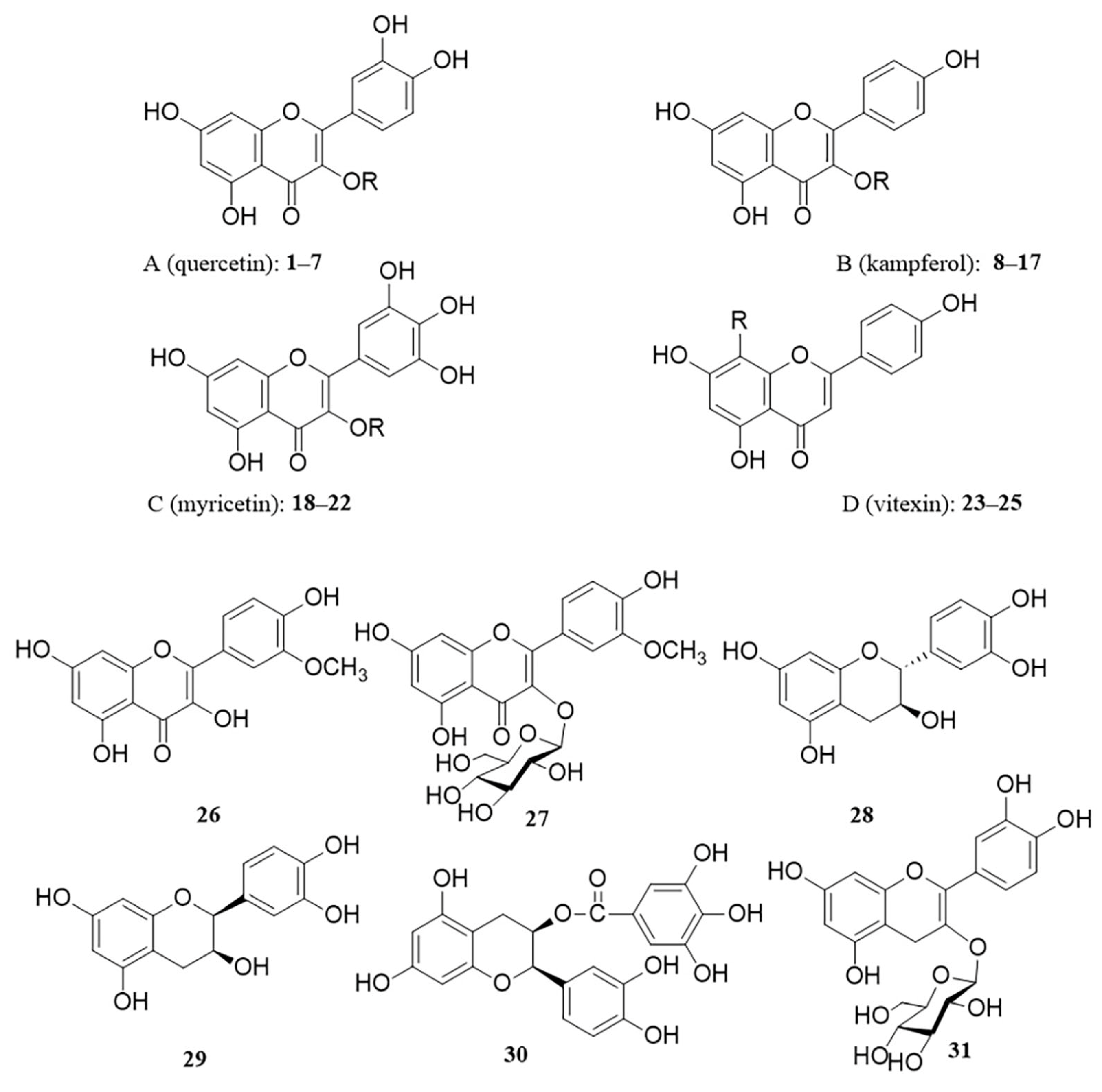 Molecules 29 00215 g002