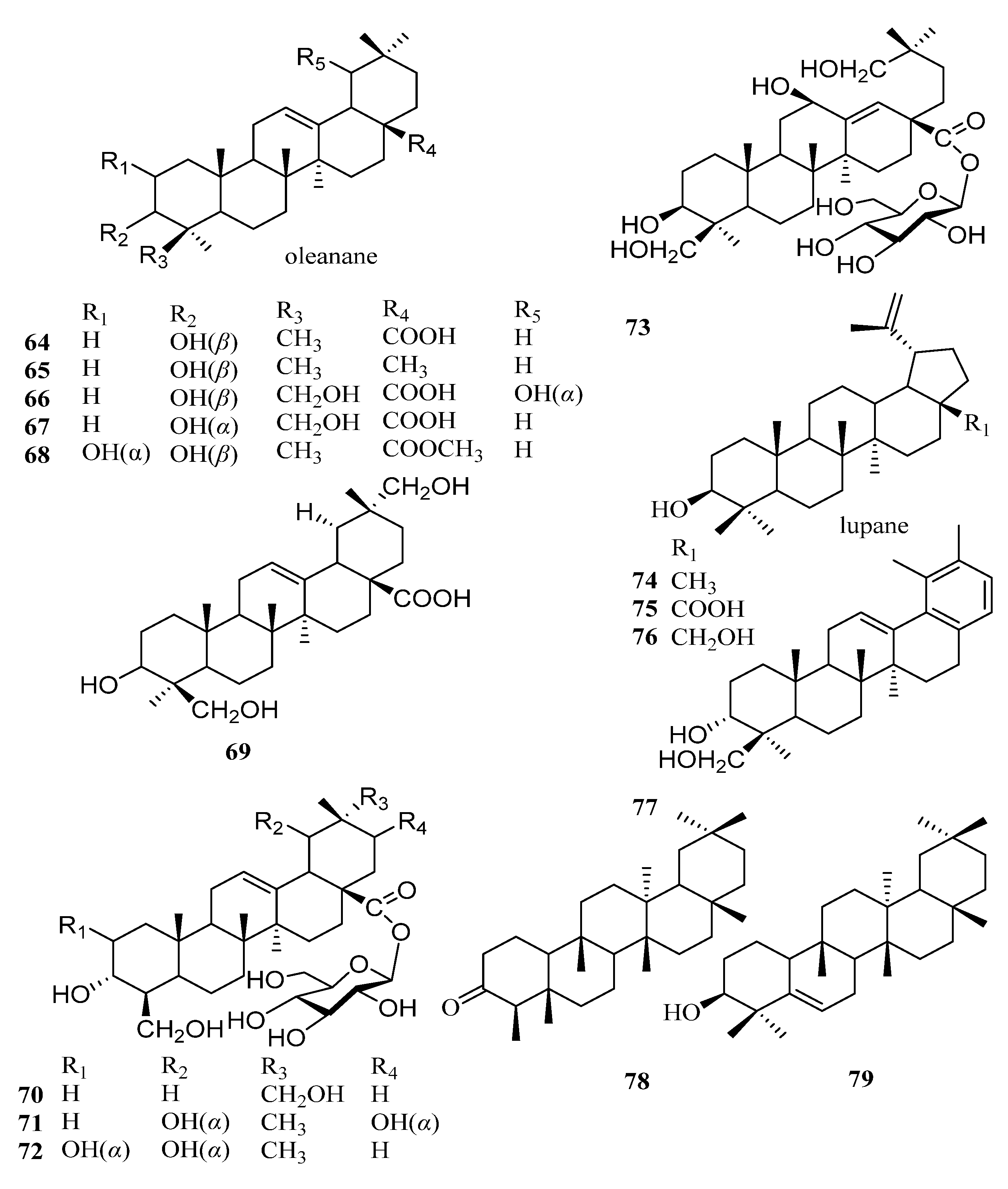 Molecules 29 00215 g004
