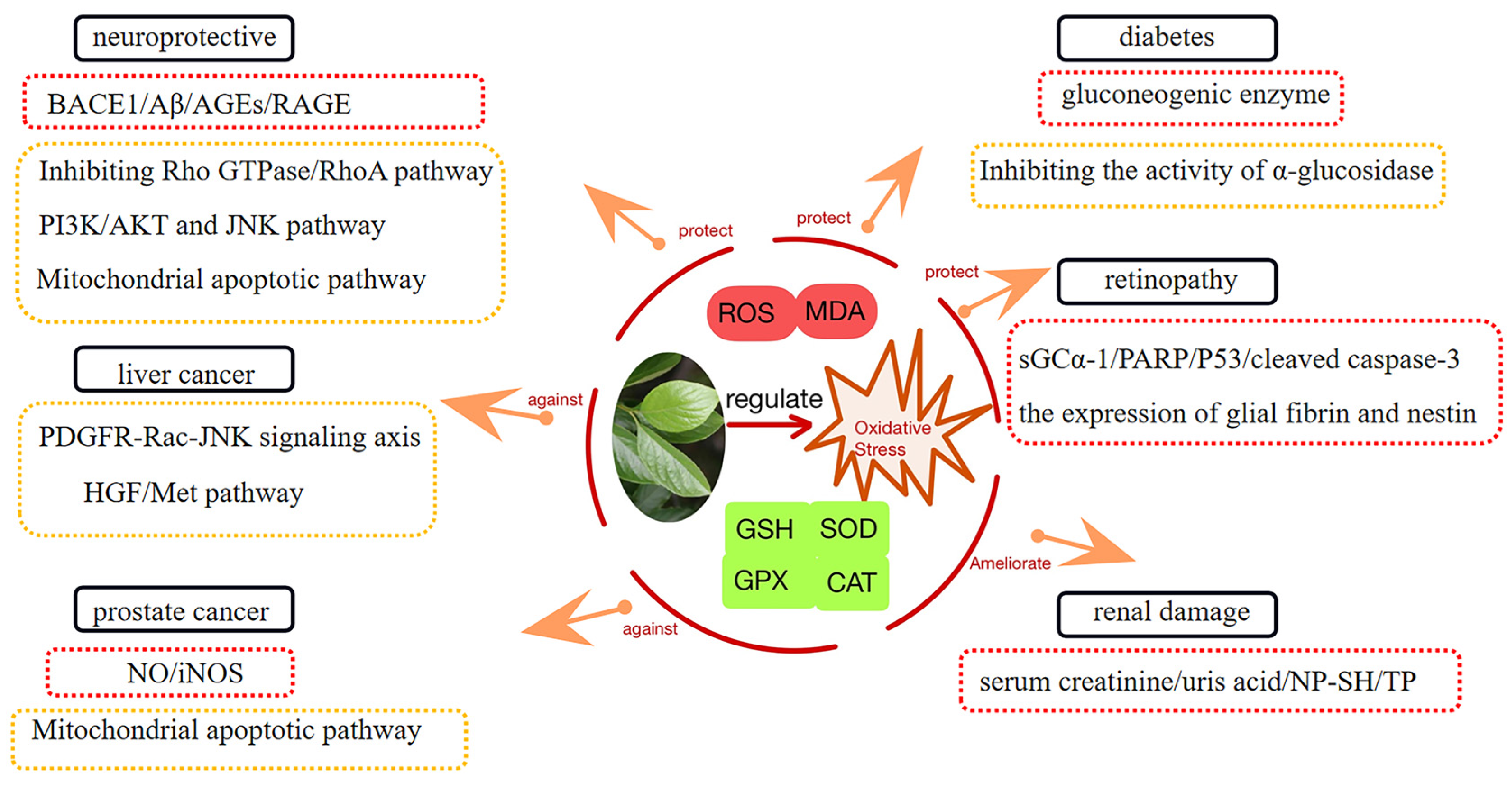 Molecules 29 00215 g008