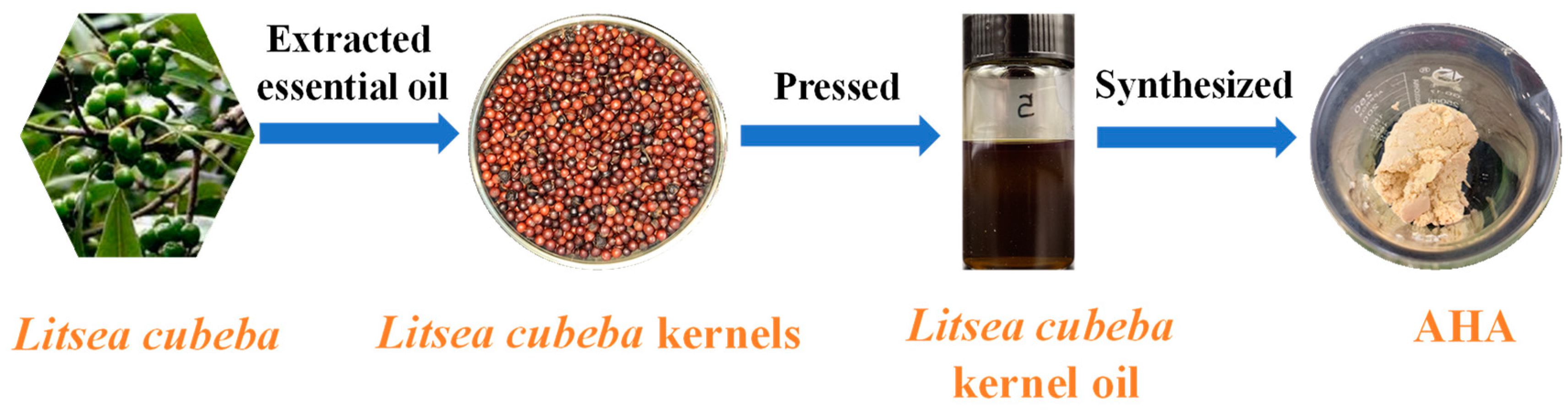 Molecules 29 00217 g001