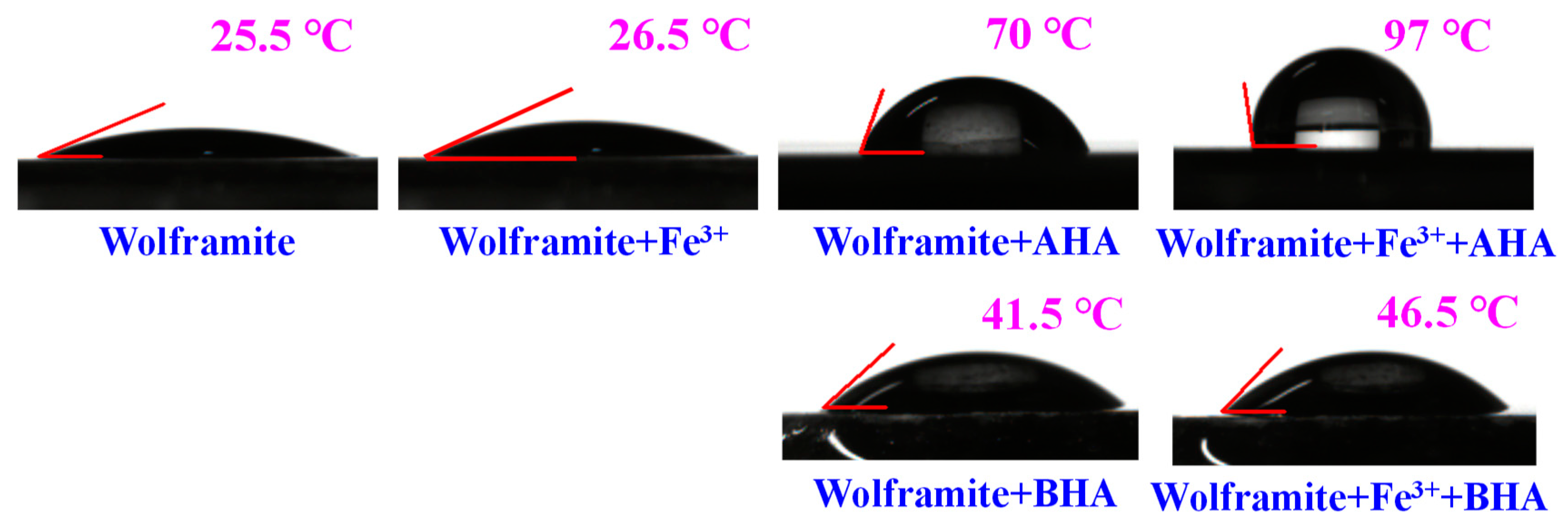 Molecules 29 00217 g006