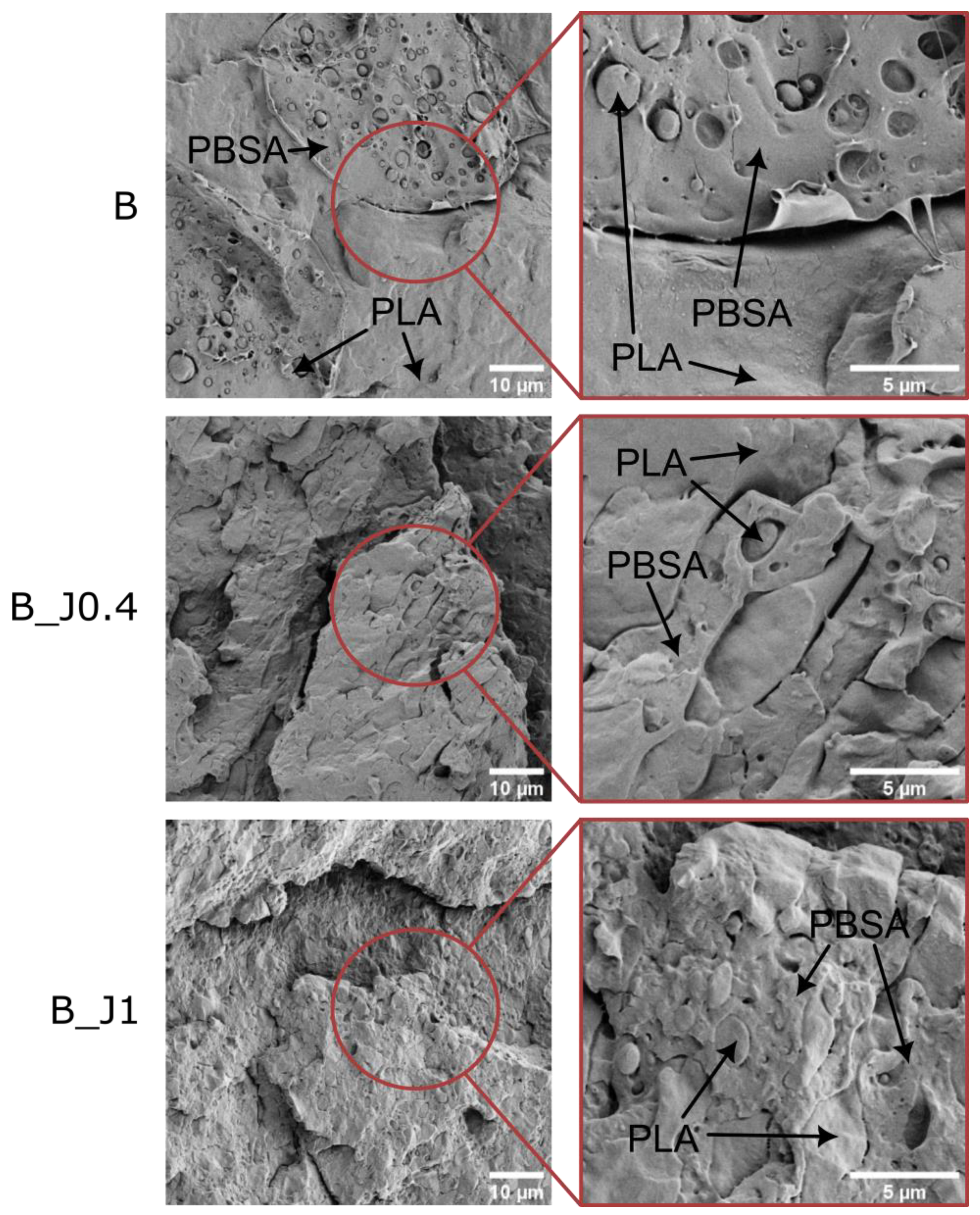 Molecules 29 00226 g002