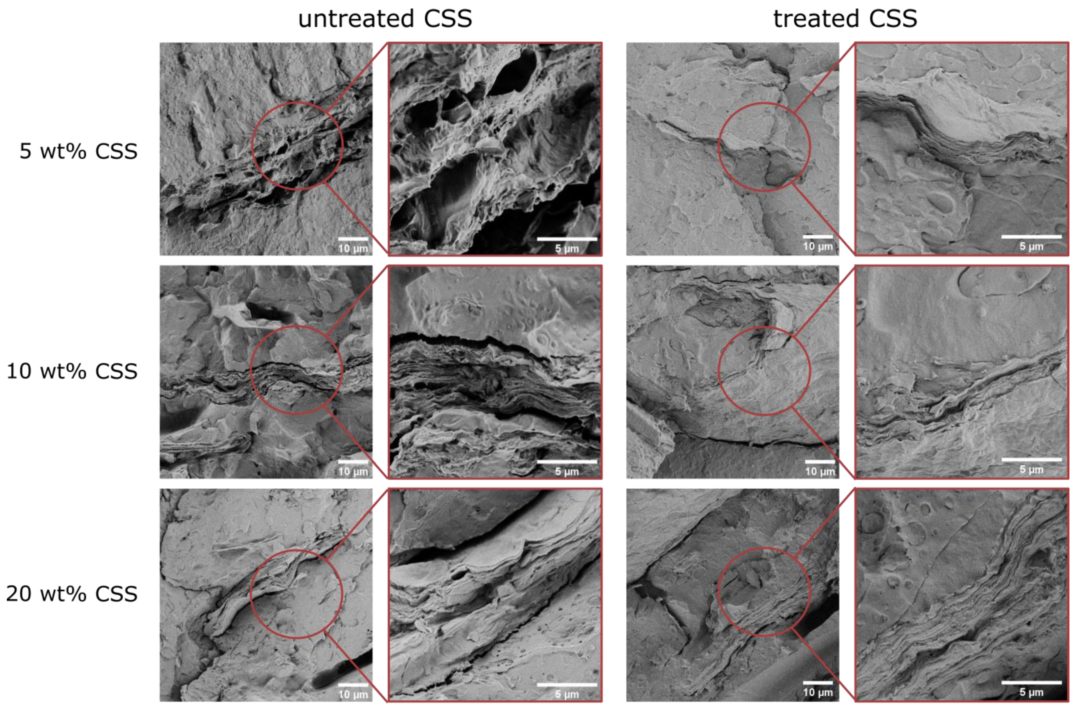 Molecules 29 00226 g006