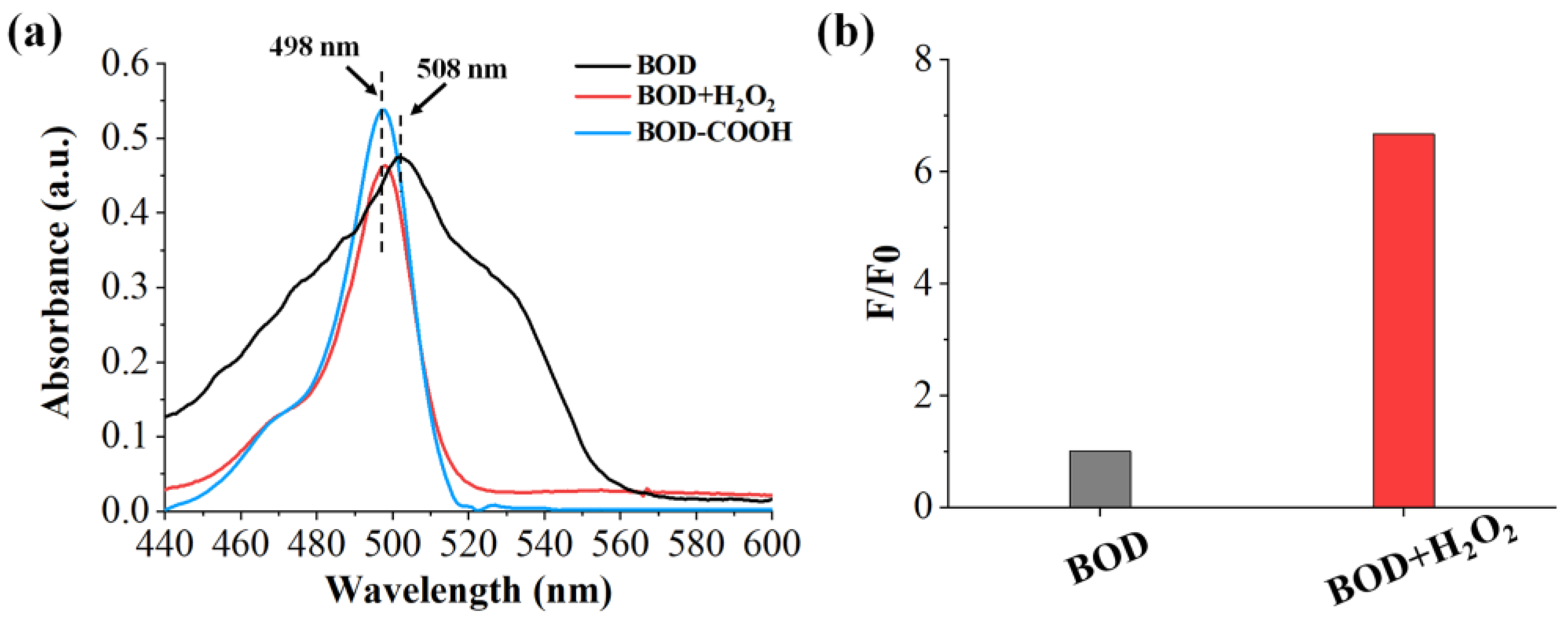 Molecules 29 00229 g001