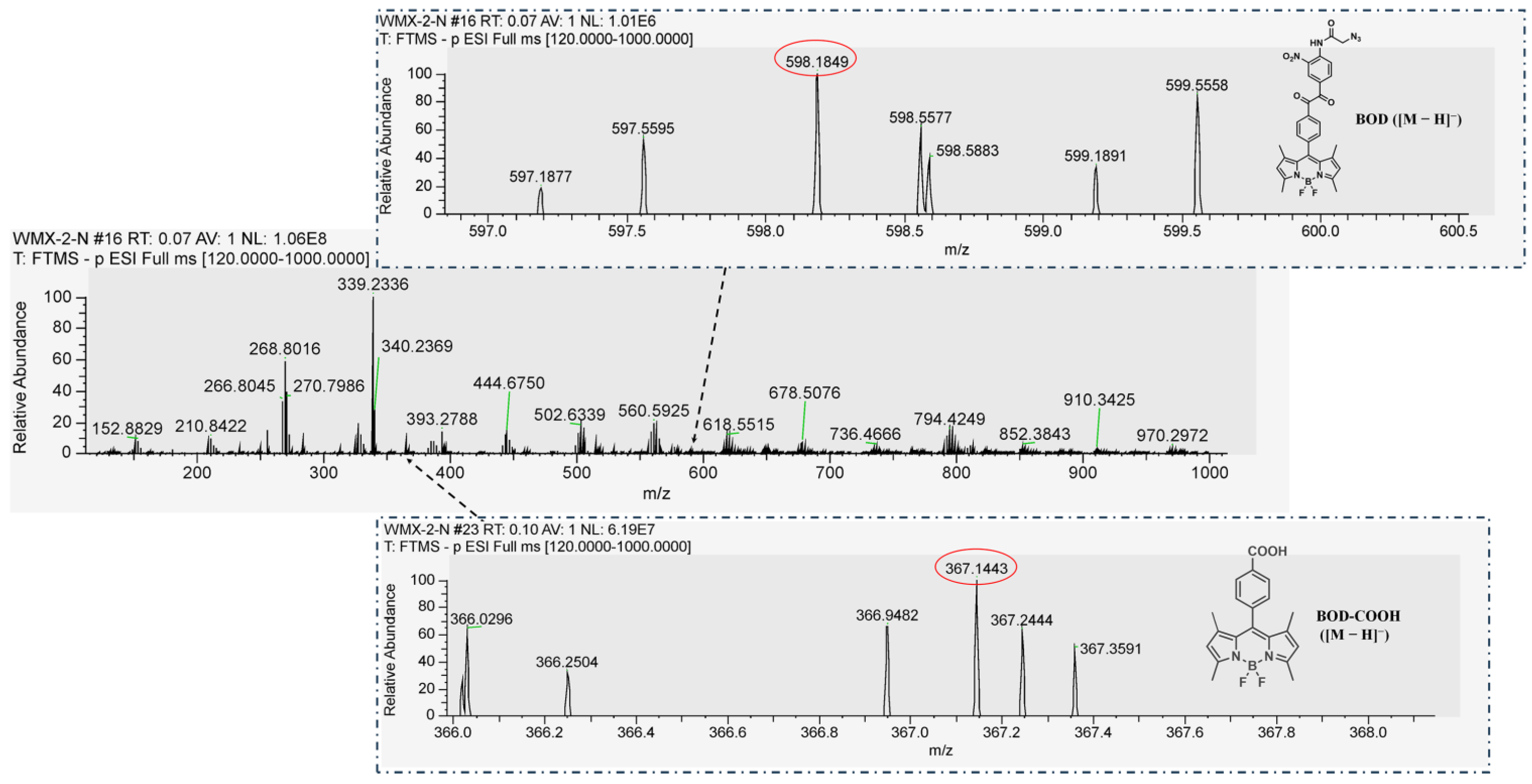 Molecules 29 00229 g002
