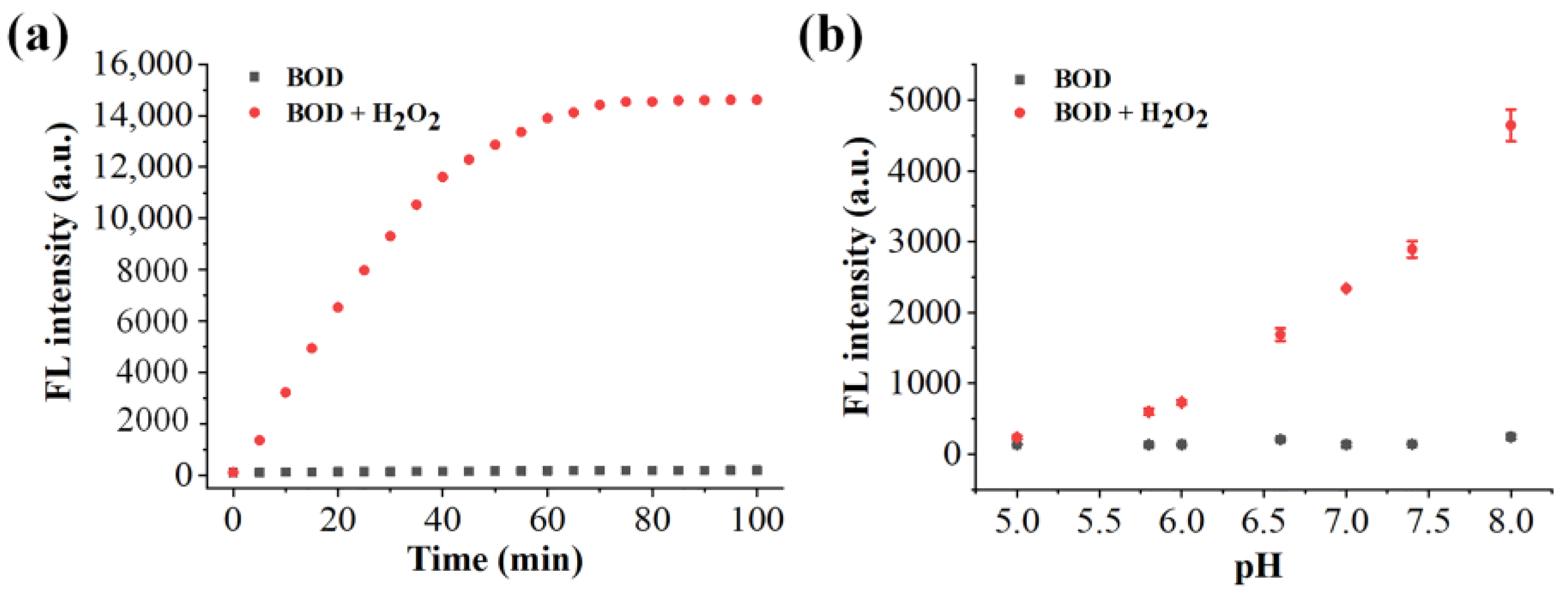 Molecules 29 00229 g003