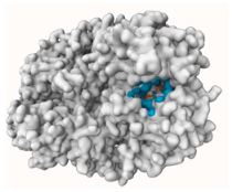 Molecules 29 00233 i001
