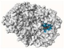 Molecules 29 00233 i002