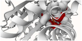 Molecules 29 00233 i003