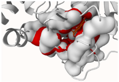 Molecules 29 00233 i004