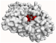 Molecules 29 00233 i005