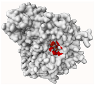 Molecules 29 00233 i007