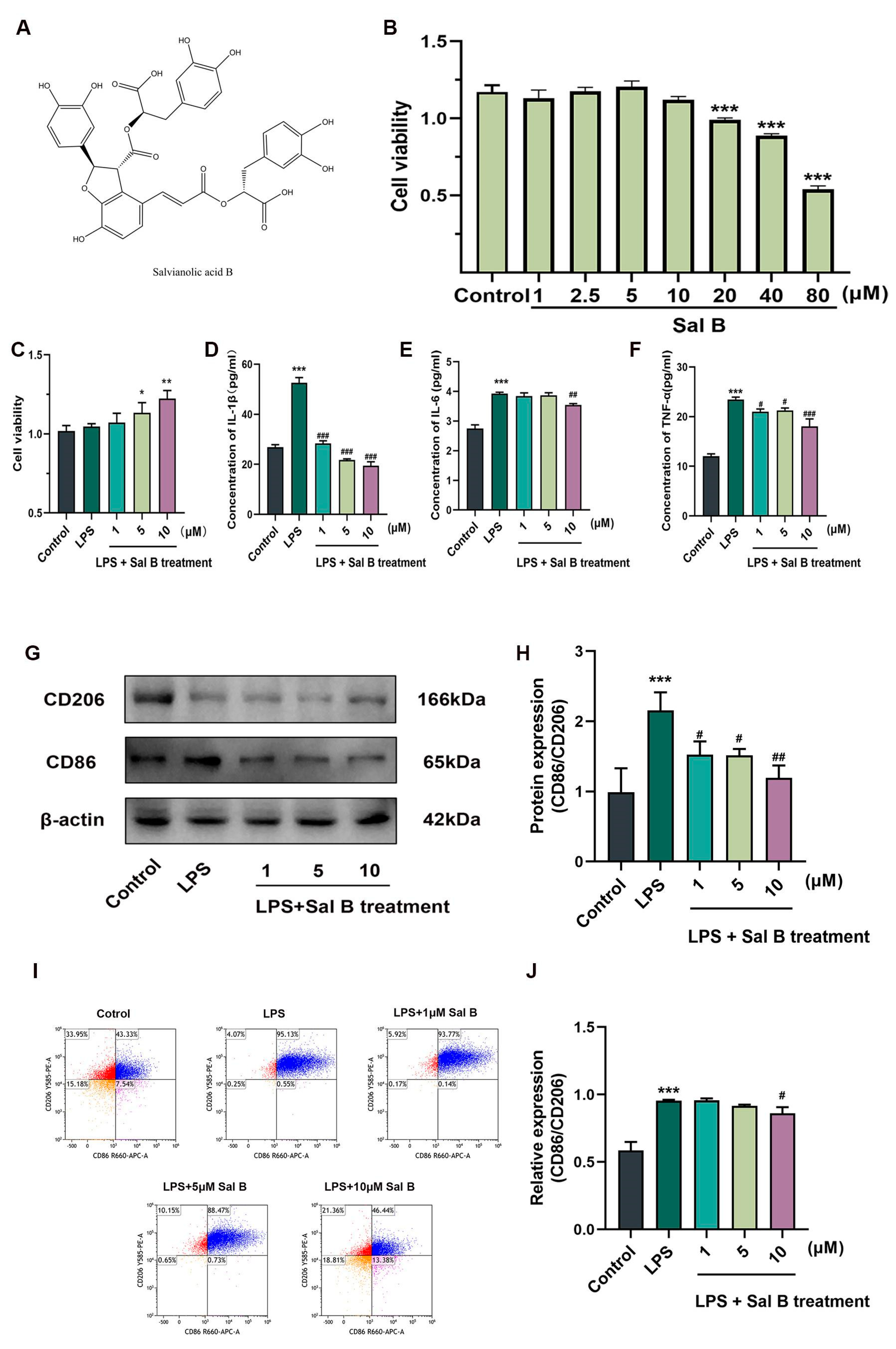 Molecules 29 00236 g001