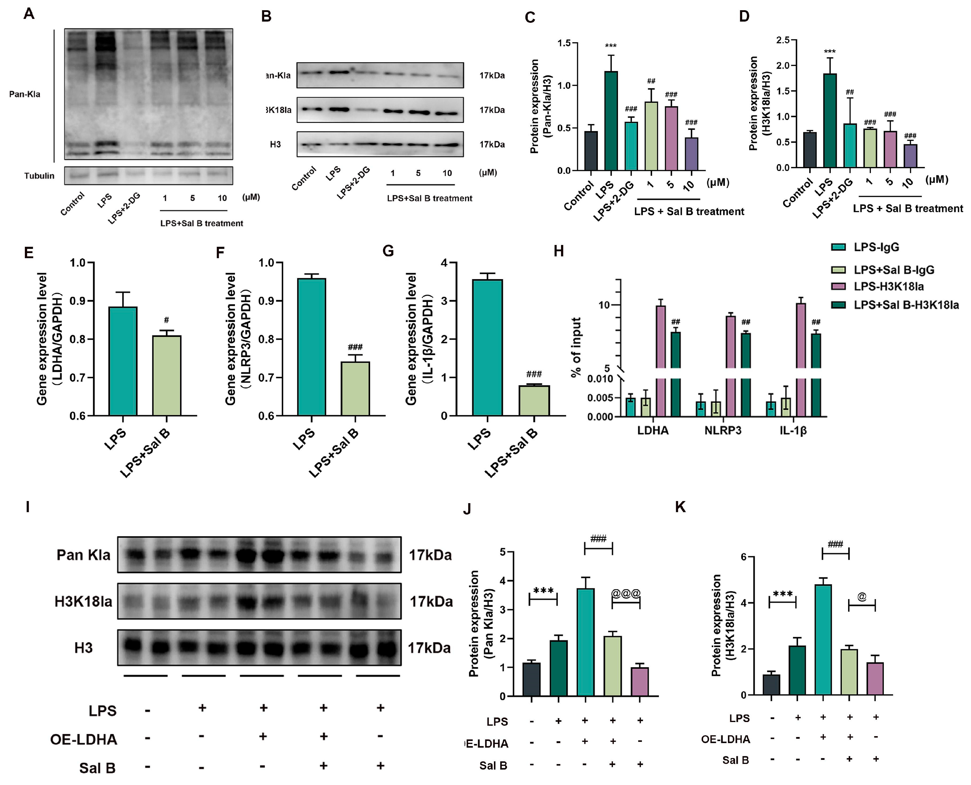 Molecules 29 00236 g004