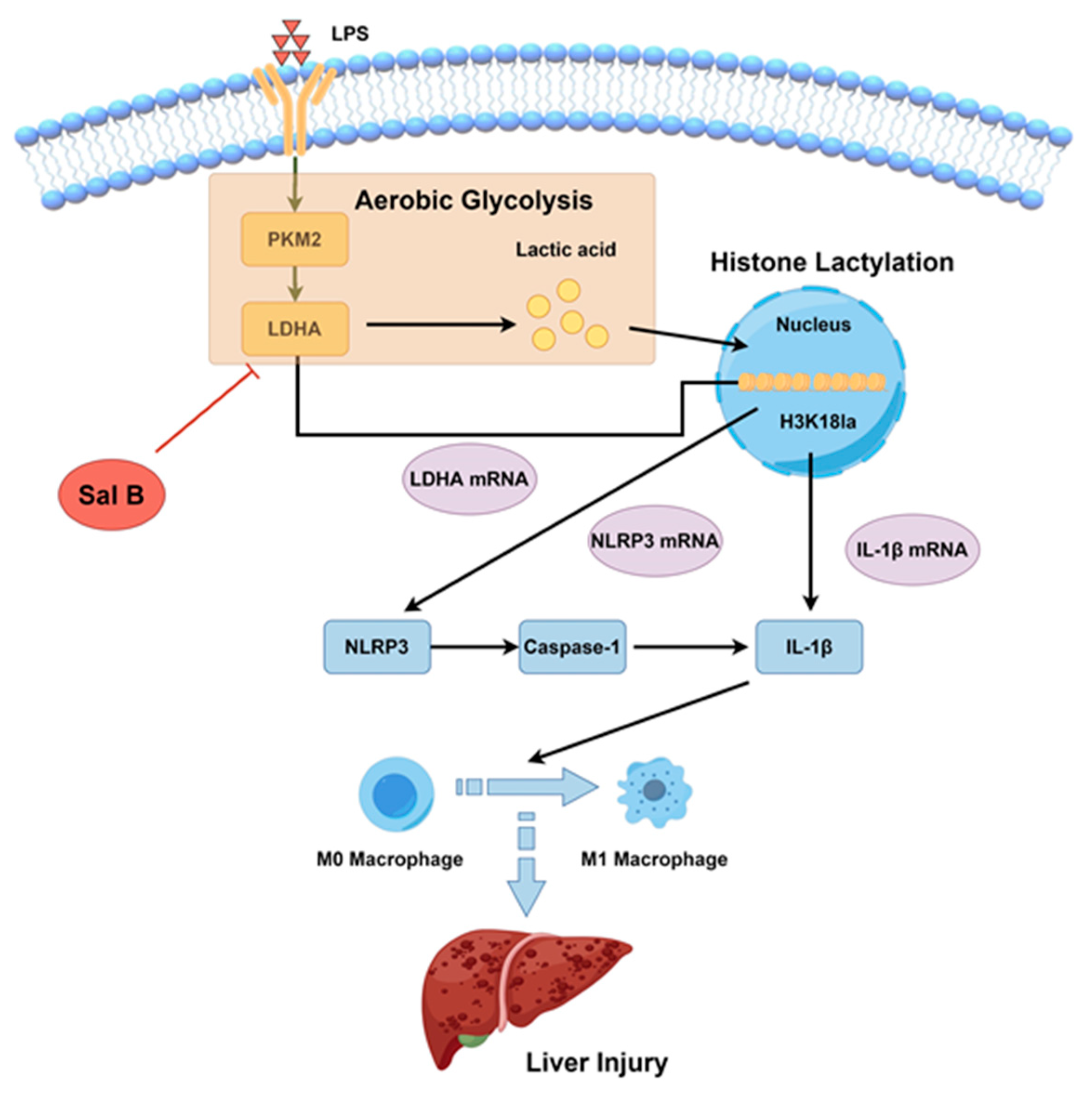 Molecules 29 00236 g007