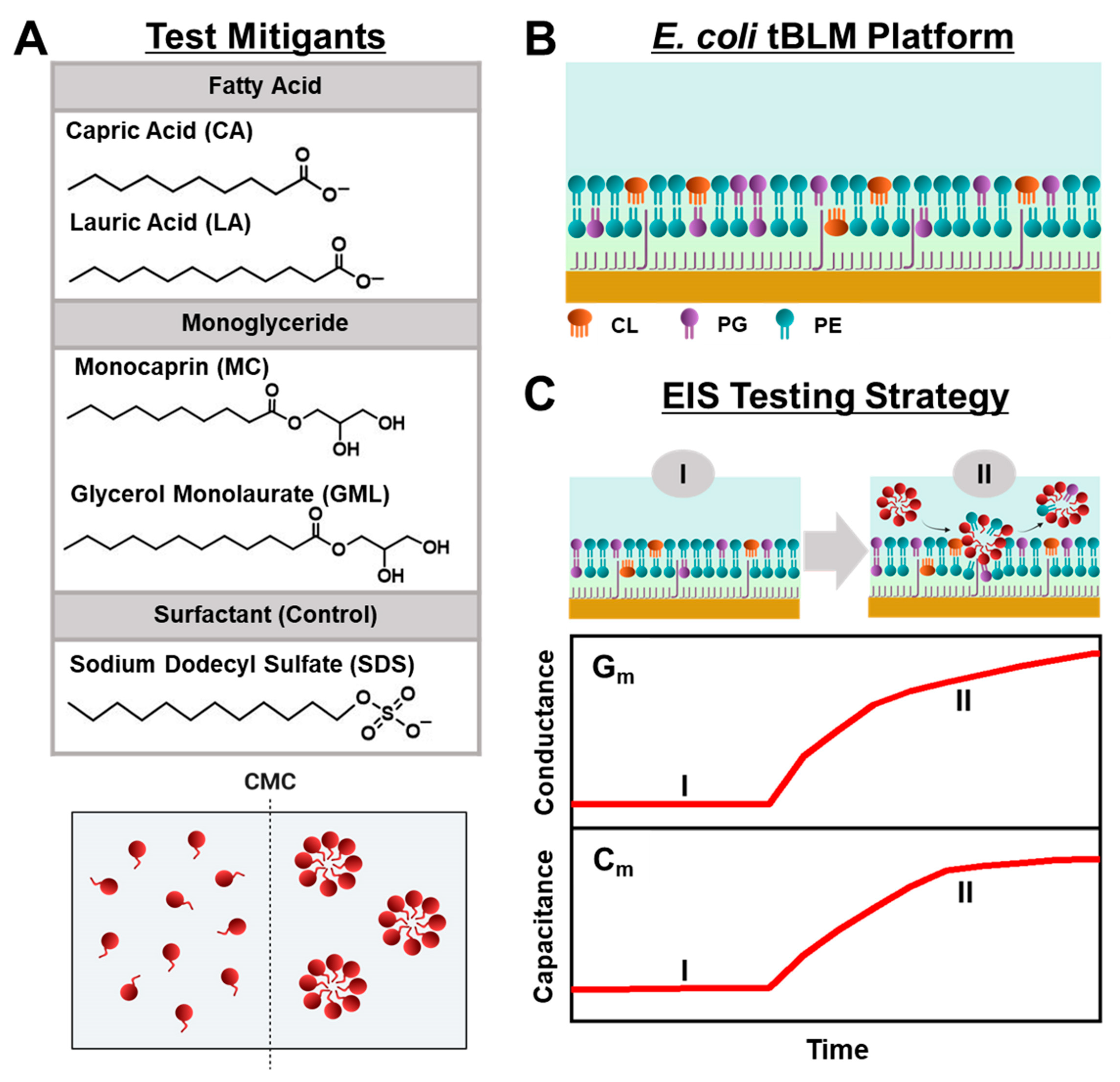 Molecules 29 00237 g001