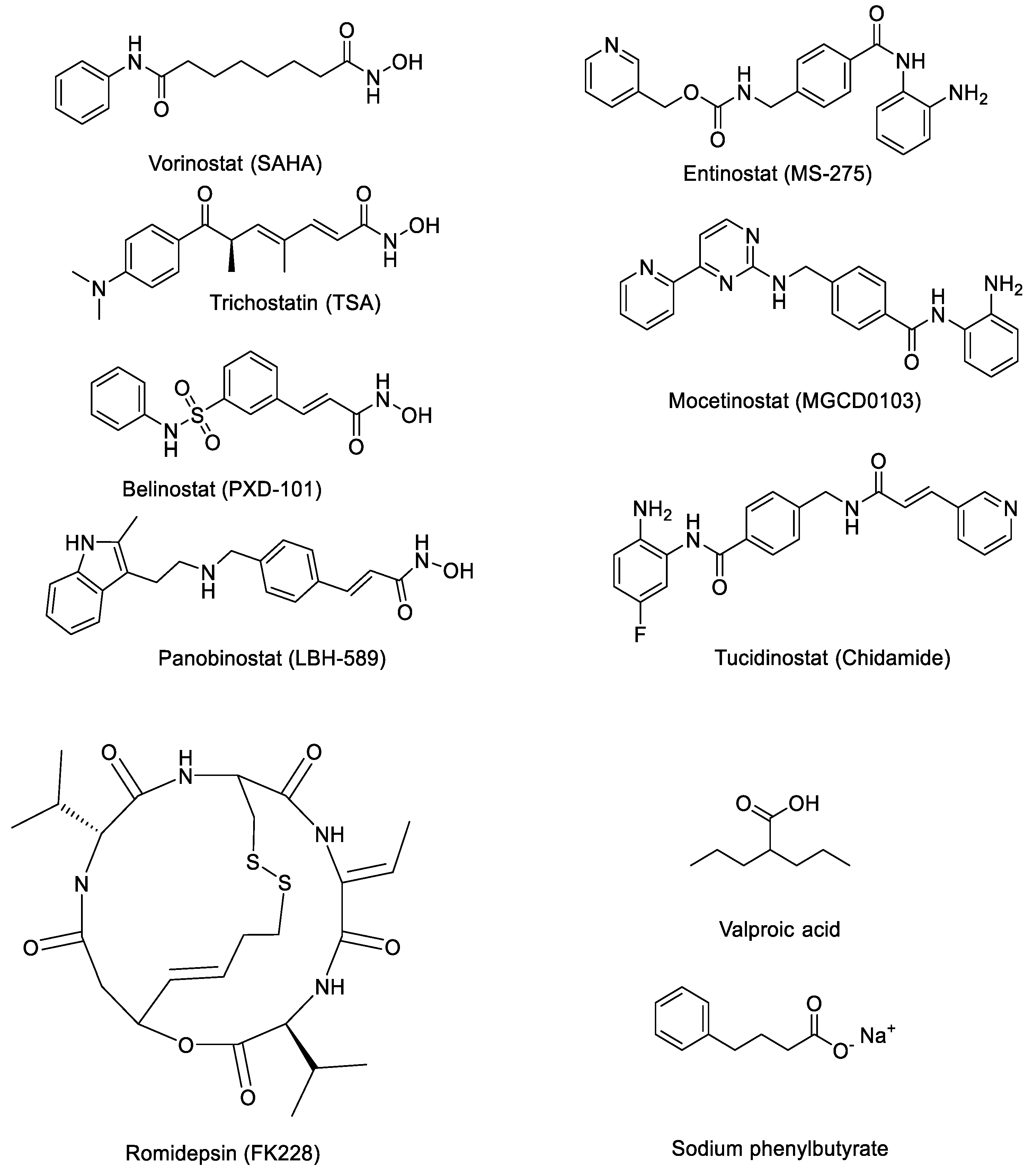 Molecules 29 00238 g001