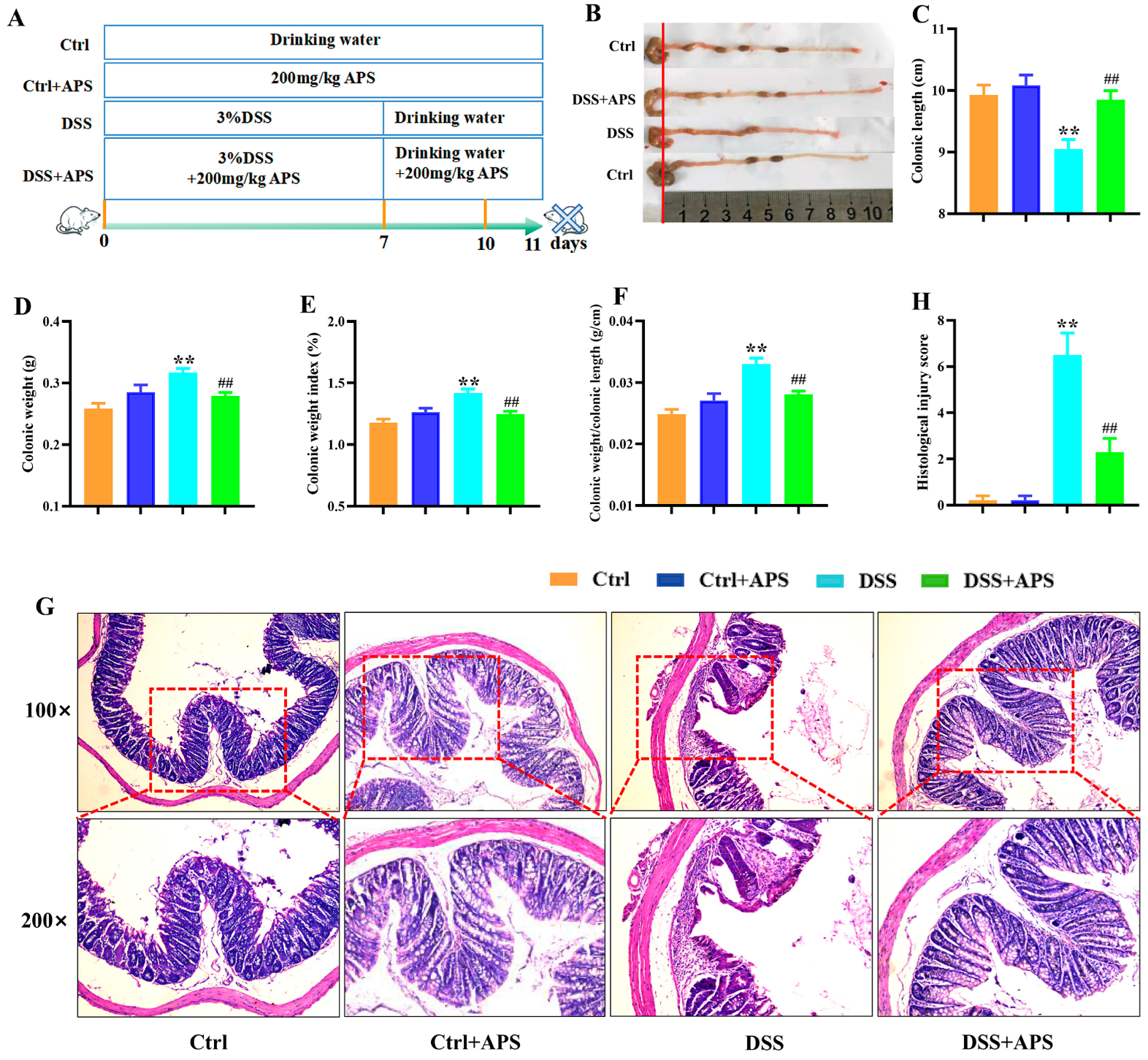 Molecules 29 00241 g001