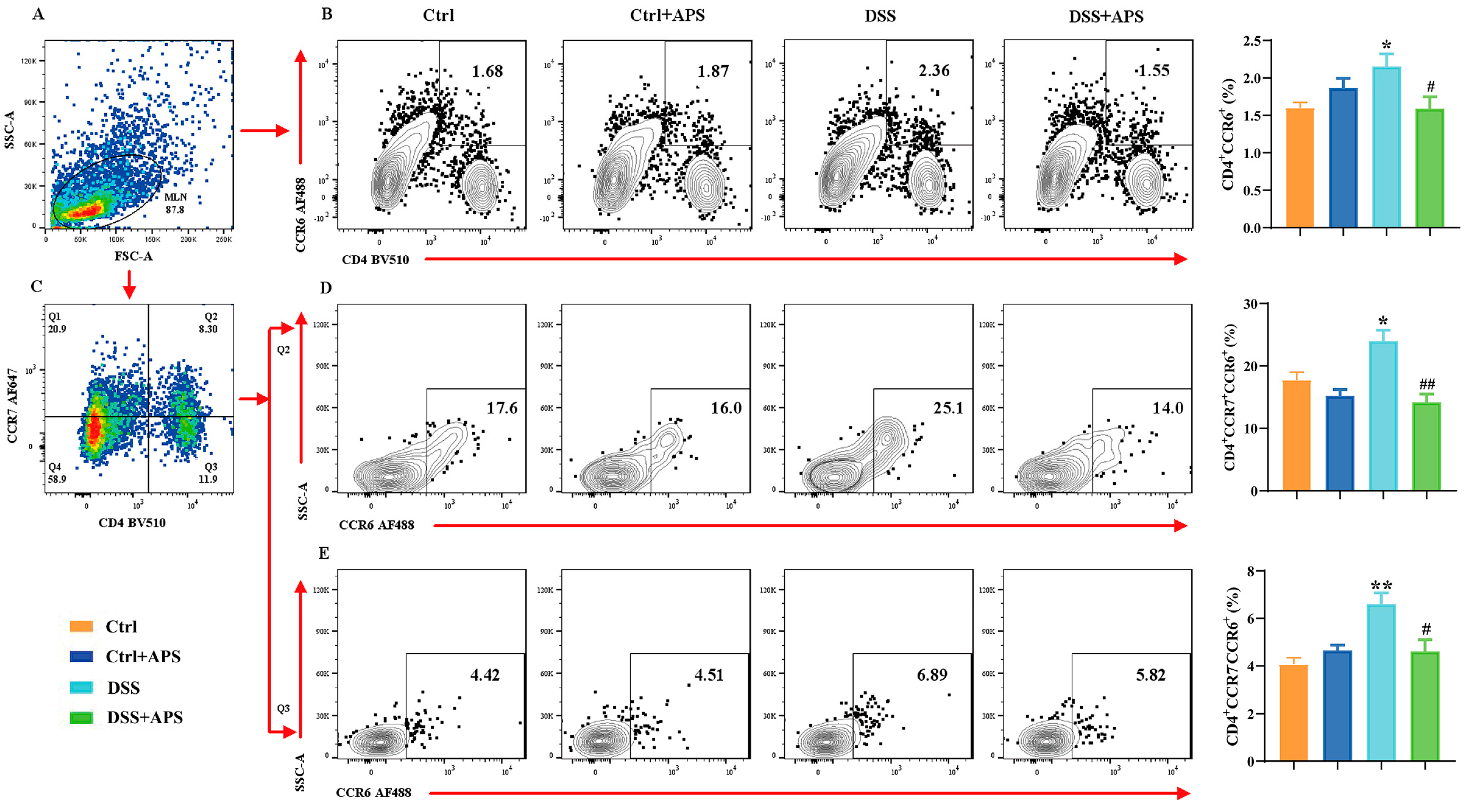 Molecules 29 00241 g002