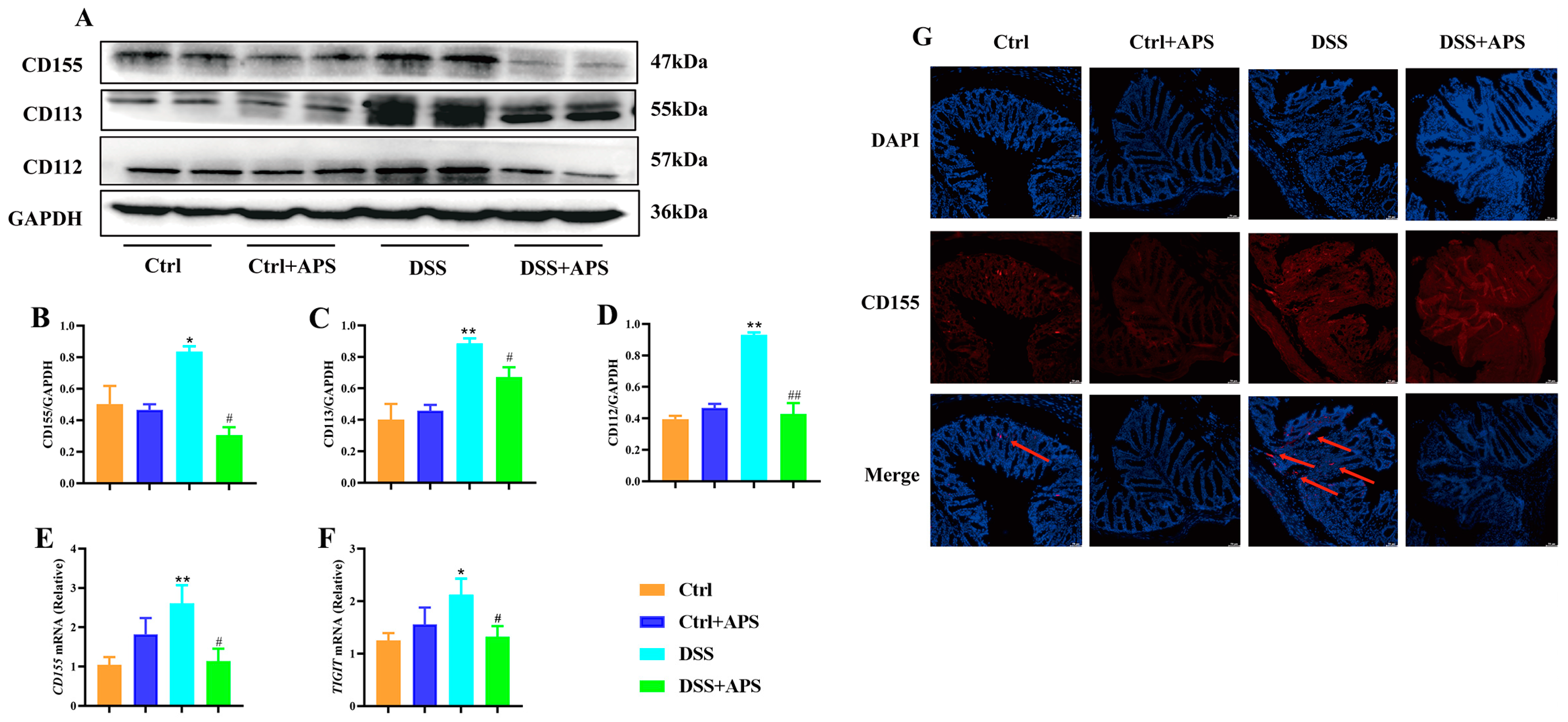 Molecules 29 00241 g006