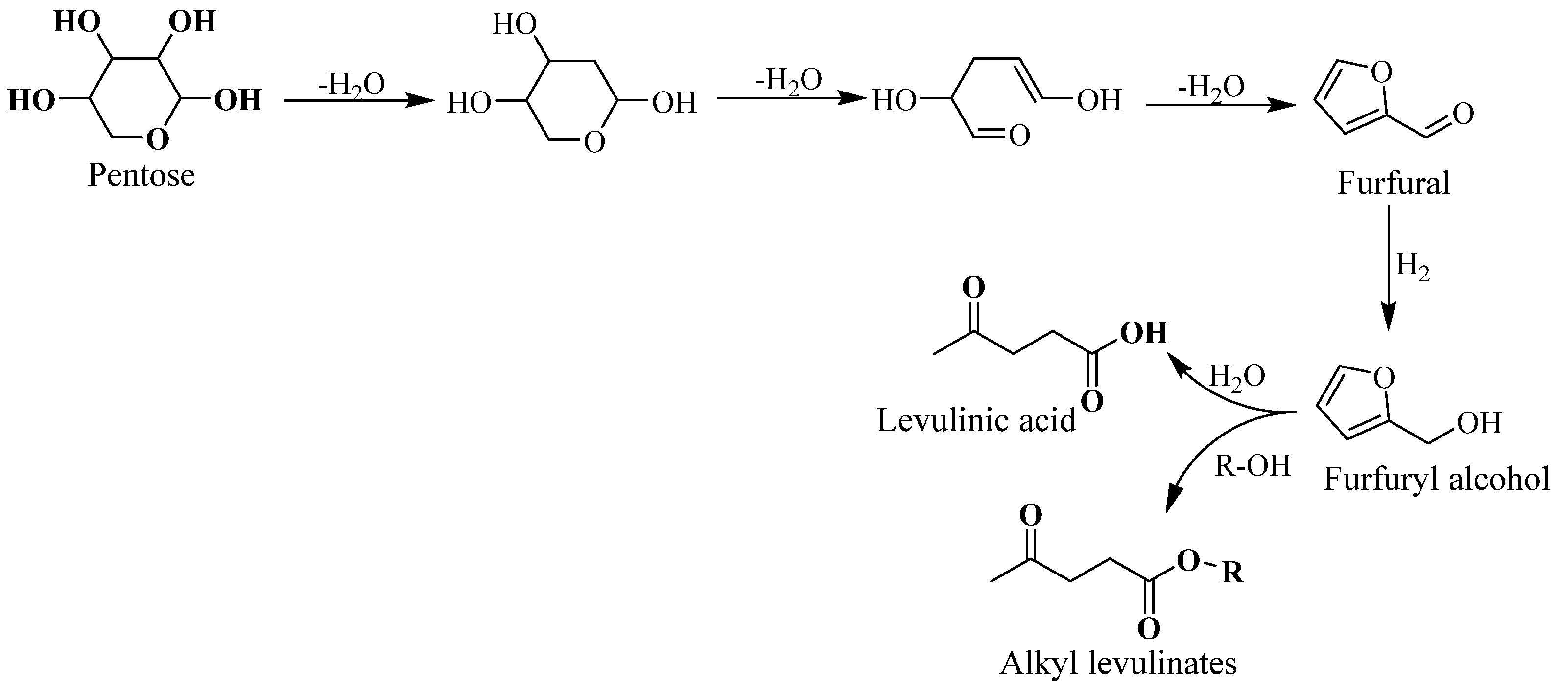 Molecules 29 00242 sch002